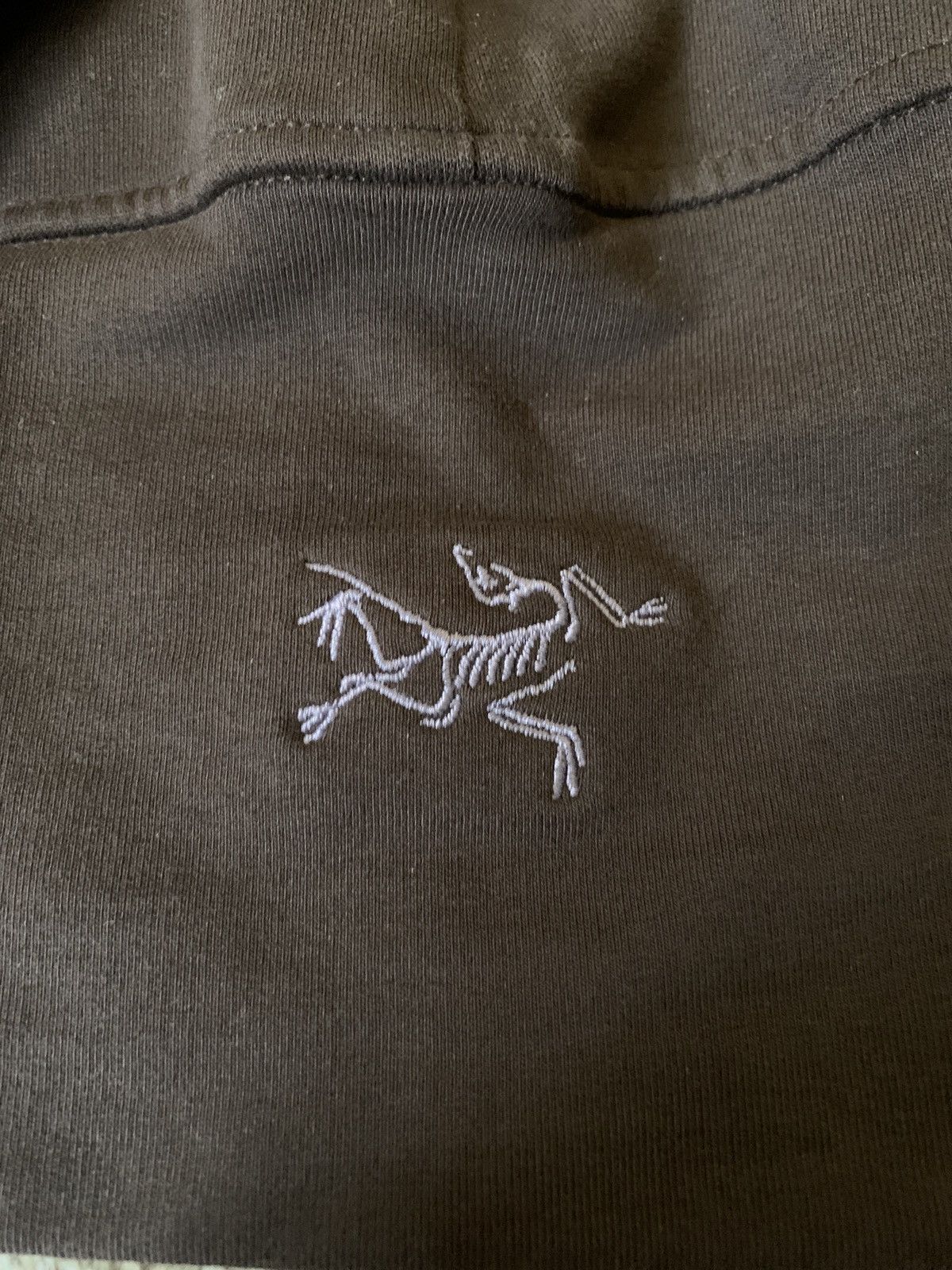Arc’teryx hoodie