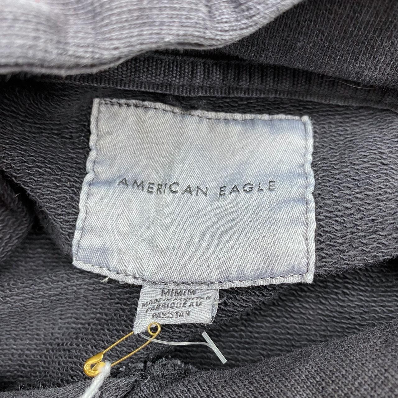 American Eagle Outfitters American Eagle USA logo graphic hoodie Size US M / EU 48-50 / 2 - 3 Thumbnail