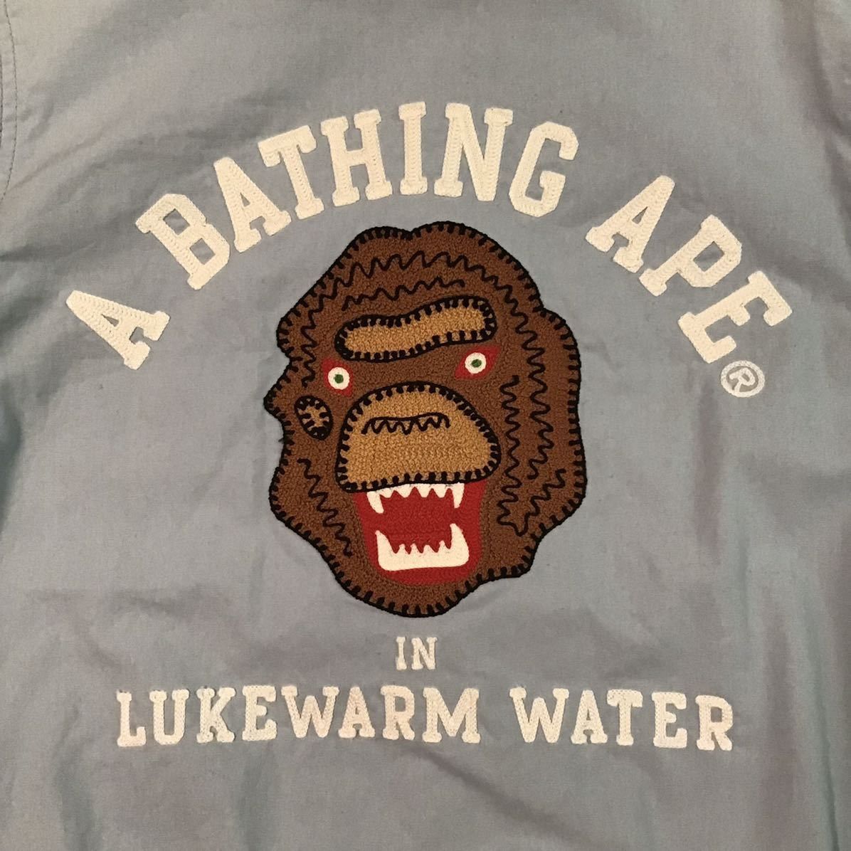 Bape × Nigo 🔥Reversible🔥 APE HEAD embroidery Blouson a bathing ape Size US S / EU 44-46 / 1 - 6 Thumbnail