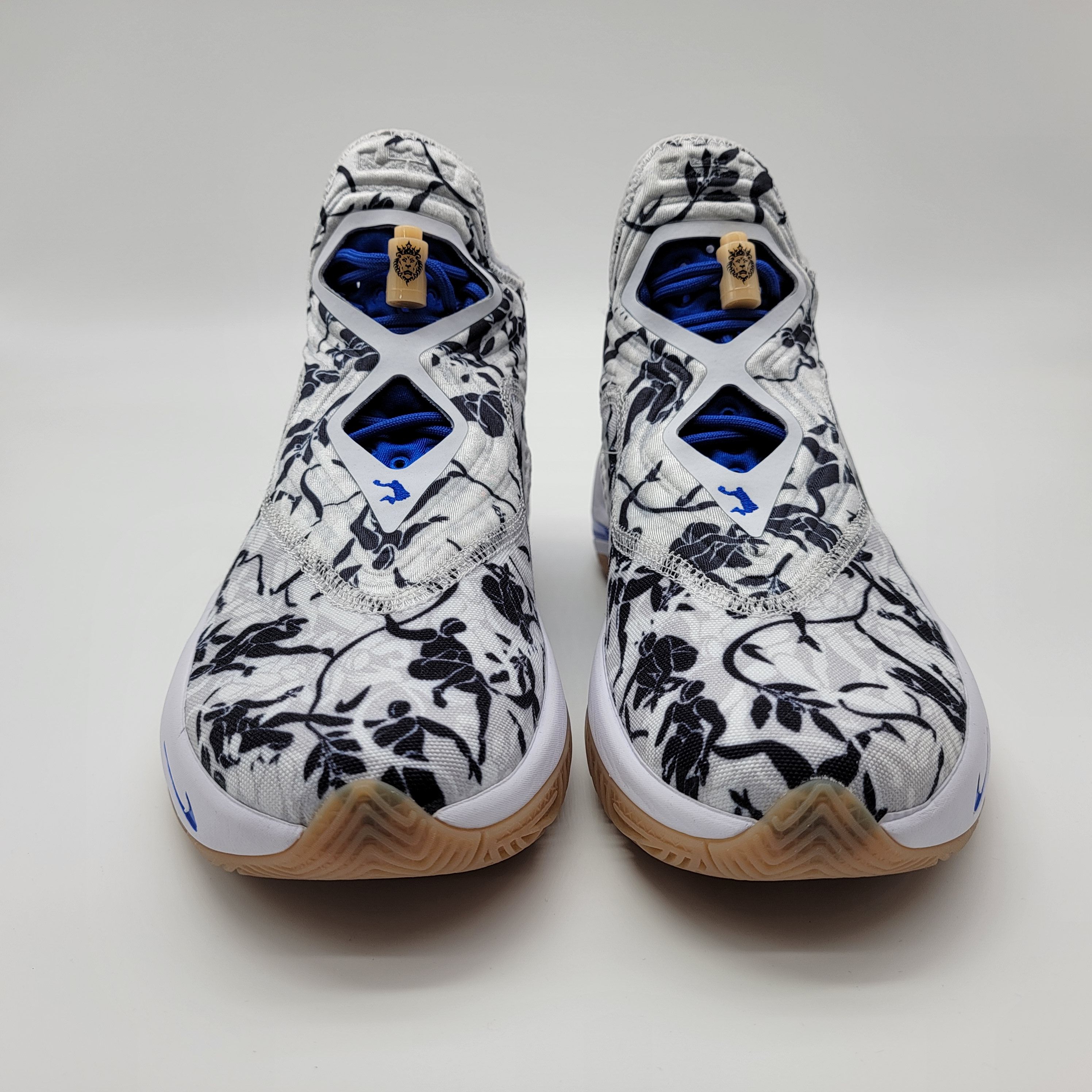 nike lebron soldier 14 sisterhood