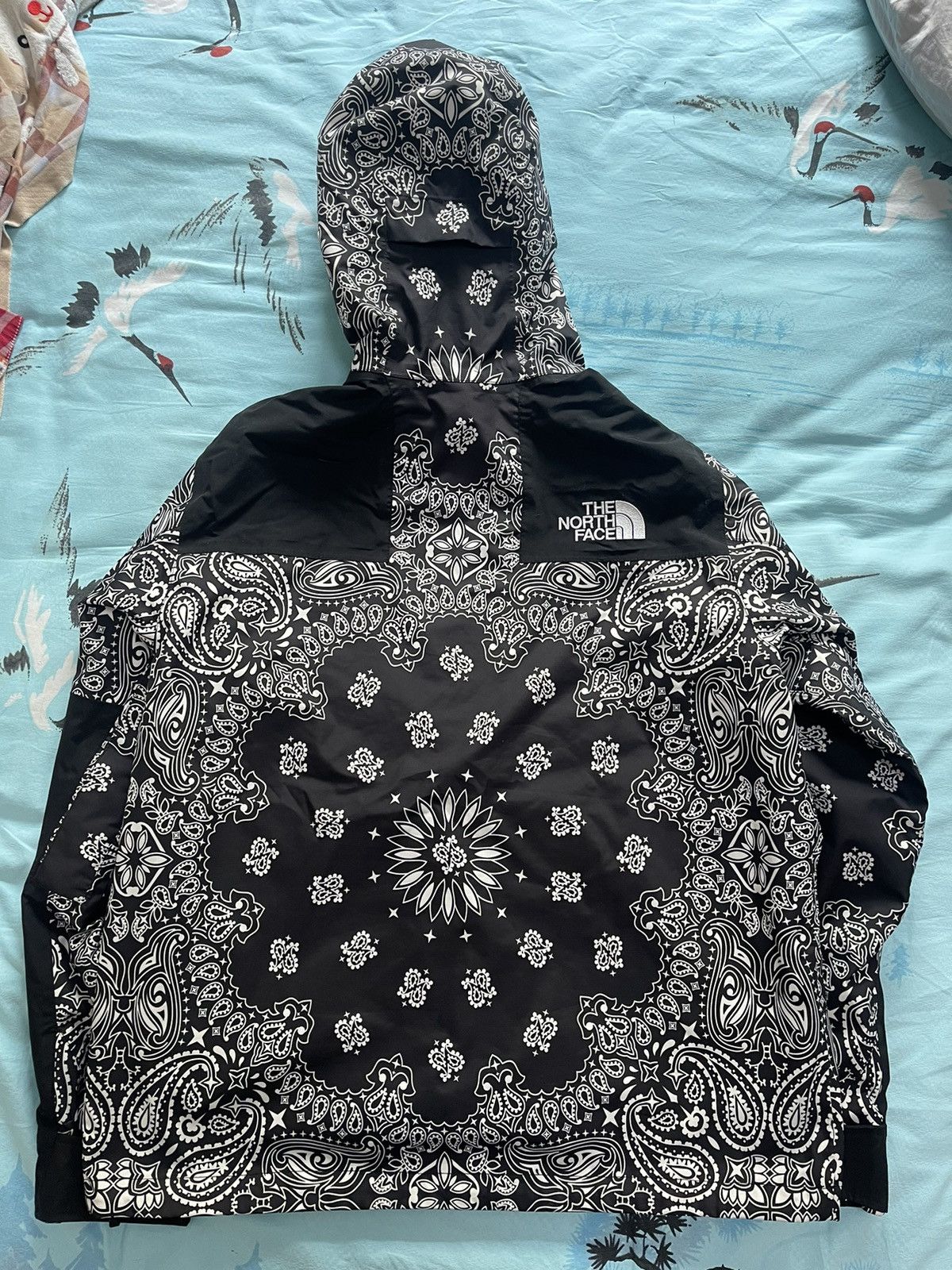 Supreme Supreme tnf the north face bandana paisley mountain Jacket | Grailed