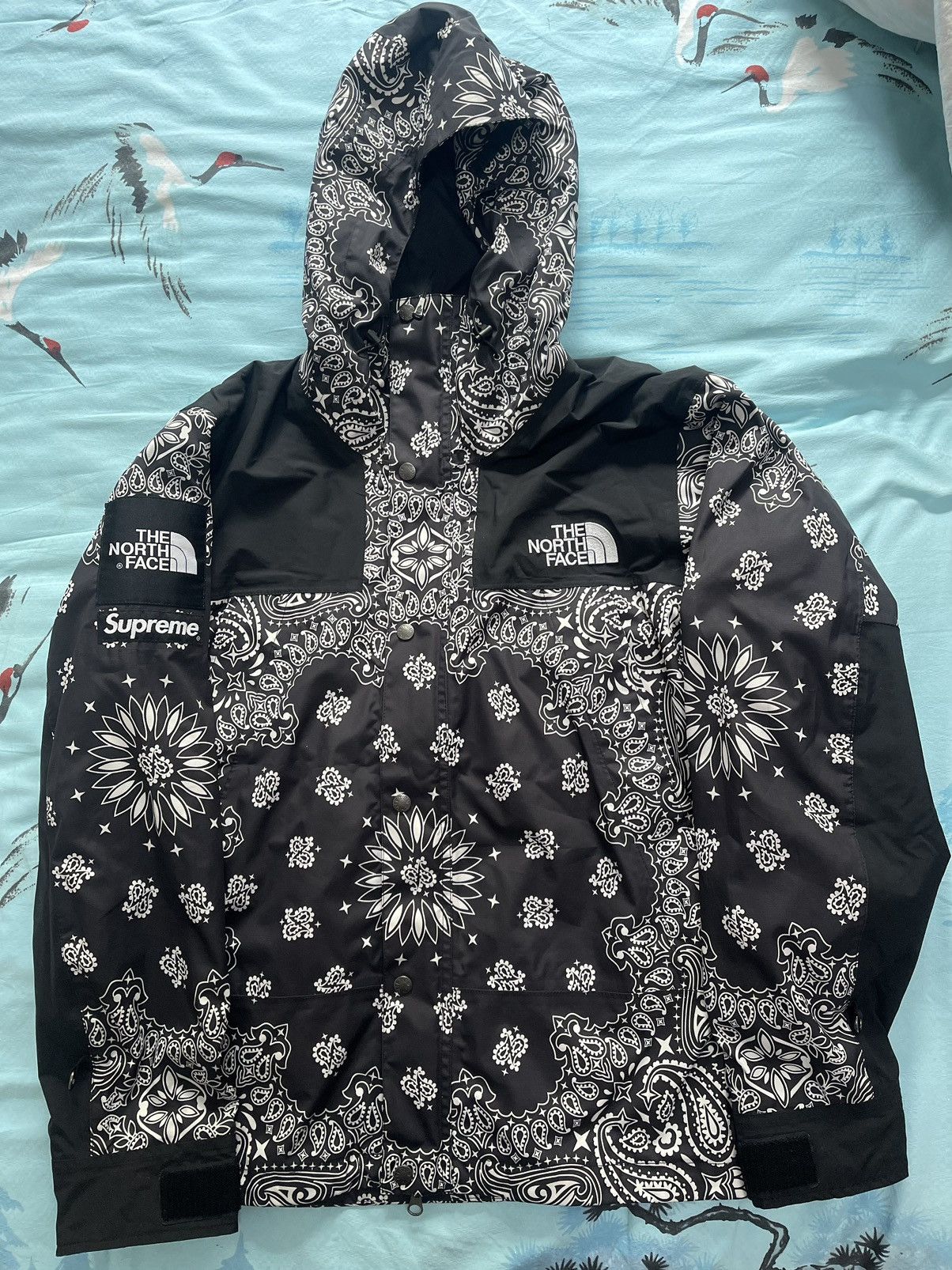 Supreme Supreme tnf the north face bandana paisley mountain Jacket | Grailed