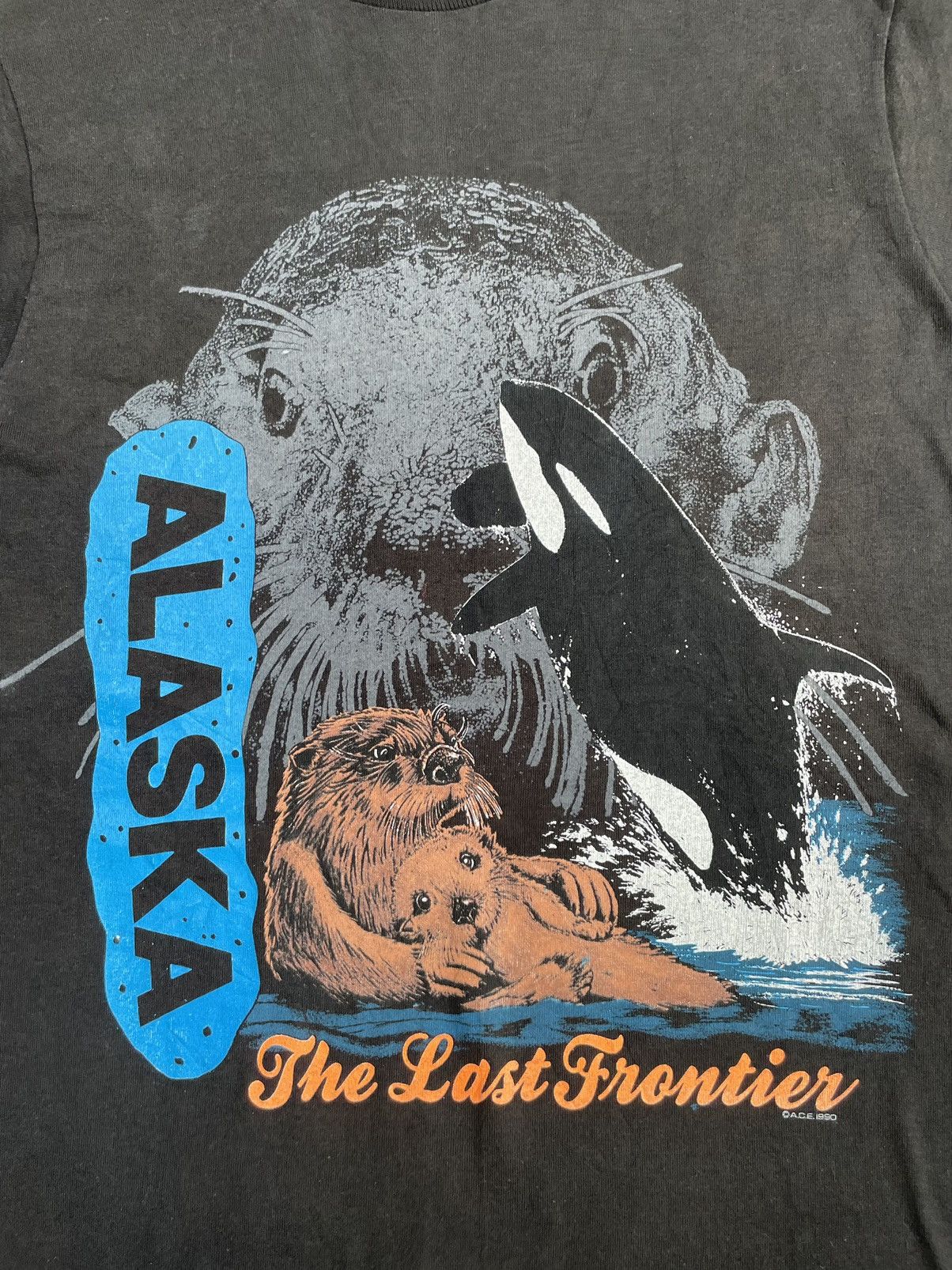 Fruit Of The Loom × Vintage Vintage 90’s Alasaka The Last Frontier Tshirt Size US M / EU 48-50 / 2 - 7 Thumbnail