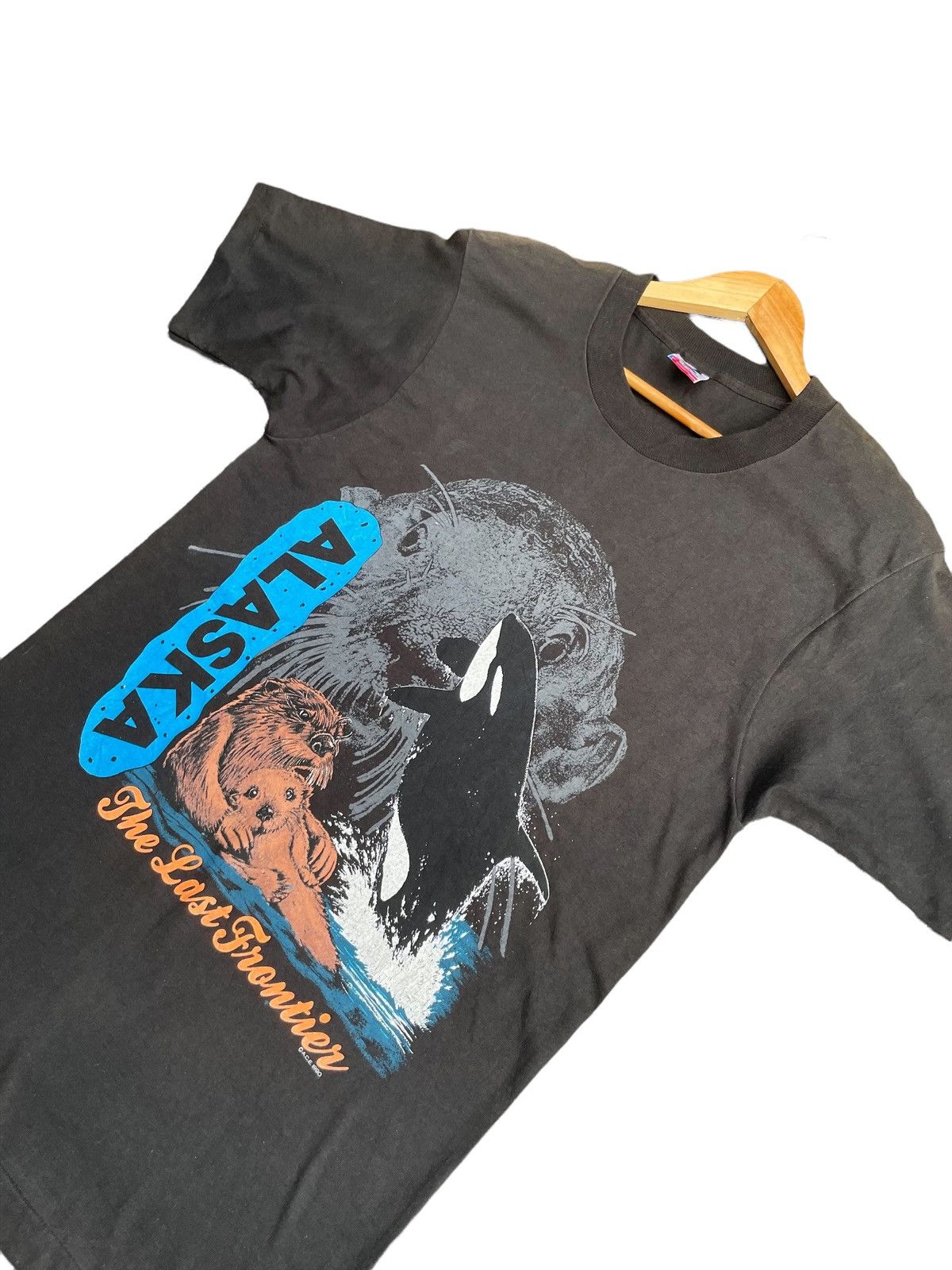 Fruit Of The Loom × Vintage Vintage 90’s Alasaka The Last Frontier Tshirt Size US M / EU 48-50 / 2 - 4 Thumbnail