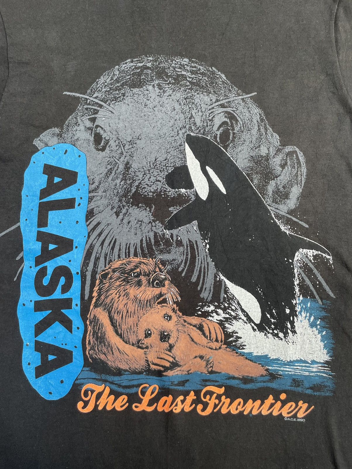 Fruit Of The Loom × Vintage Vintage 90’s Alasaka The Last Frontier Tshirt Size US M / EU 48-50 / 2 - 9 Thumbnail