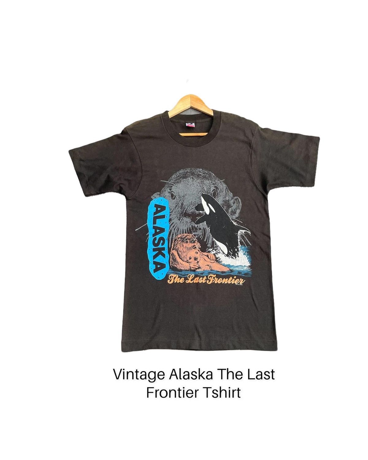 Fruit Of The Loom × Vintage Vintage 90’s Alasaka The Last Frontier Tshirt Size US M / EU 48-50 / 2 - 1 Thumbnail