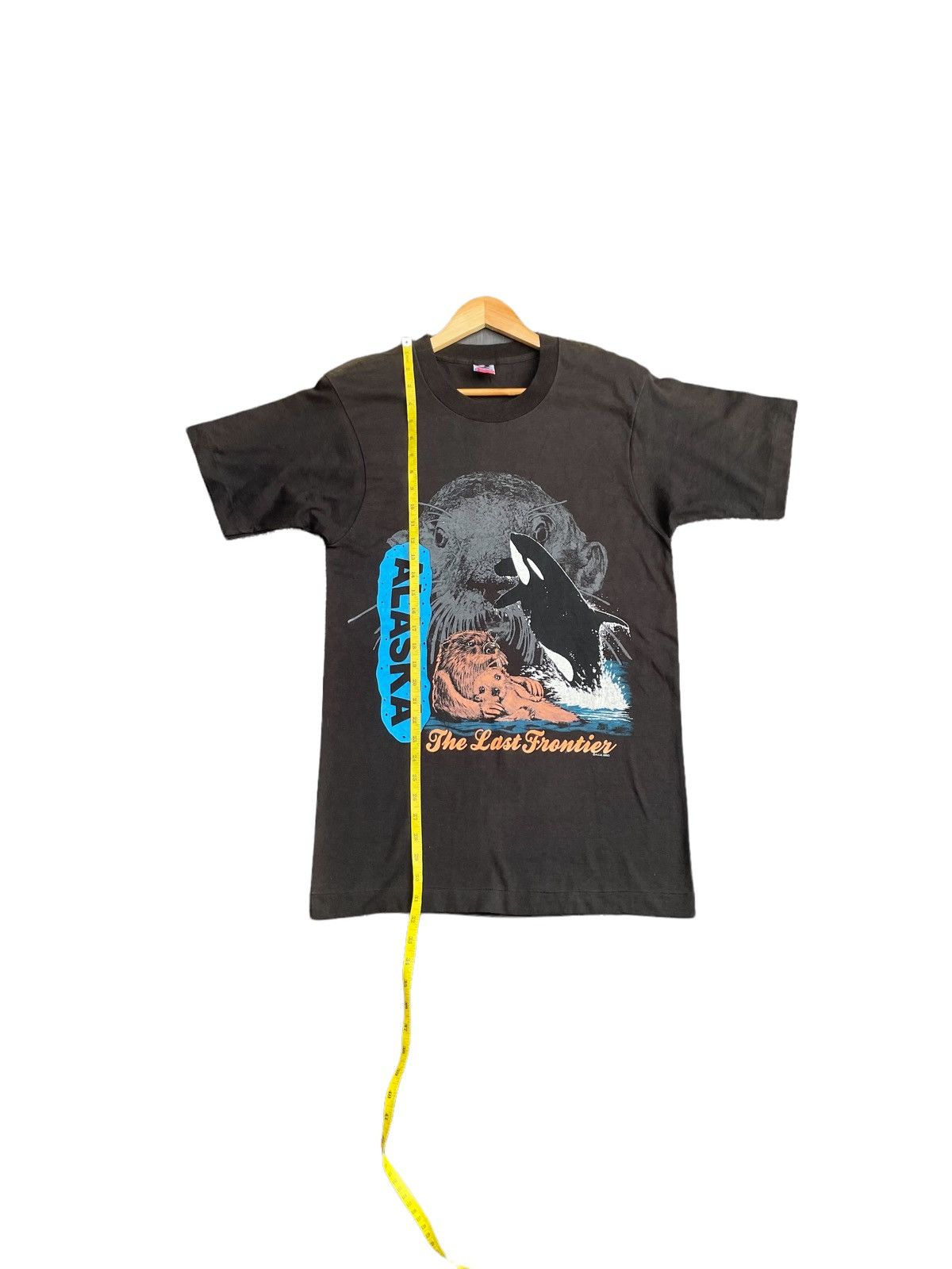 Fruit Of The Loom × Vintage Vintage 90’s Alasaka The Last Frontier Tshirt Size US M / EU 48-50 / 2 - 3 Thumbnail