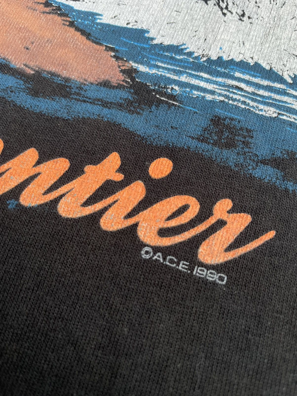 Fruit Of The Loom × Vintage Vintage 90’s Alasaka The Last Frontier Tshirt Size US M / EU 48-50 / 2 - 8 Thumbnail