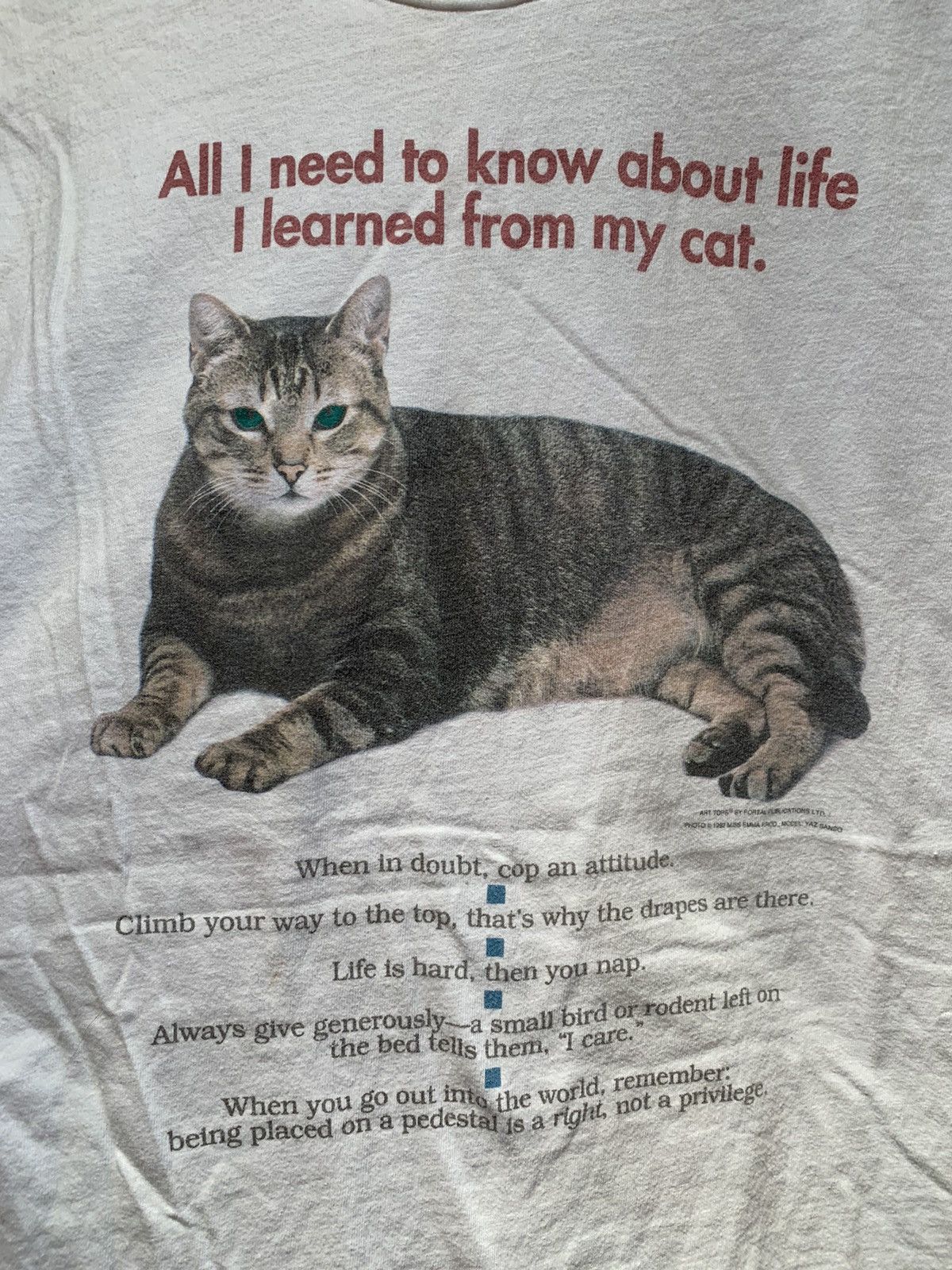 Vintage RARE ‘92 All Need To Know About Life Learned From My Cat Tee Size US L / EU 52-54 / 3 - 2 Thumbnail