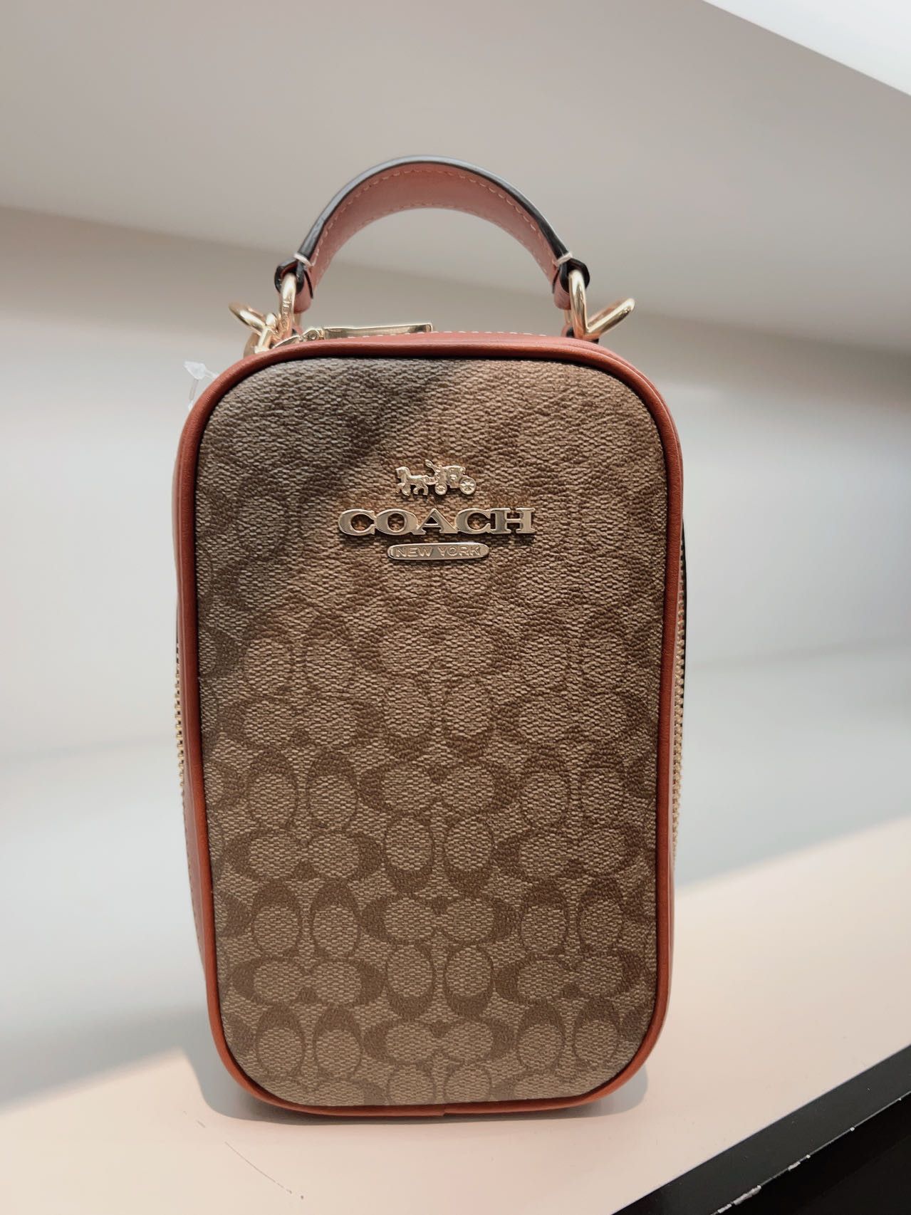 Eva Phone Crossbody In Colorblock Signature Canvas