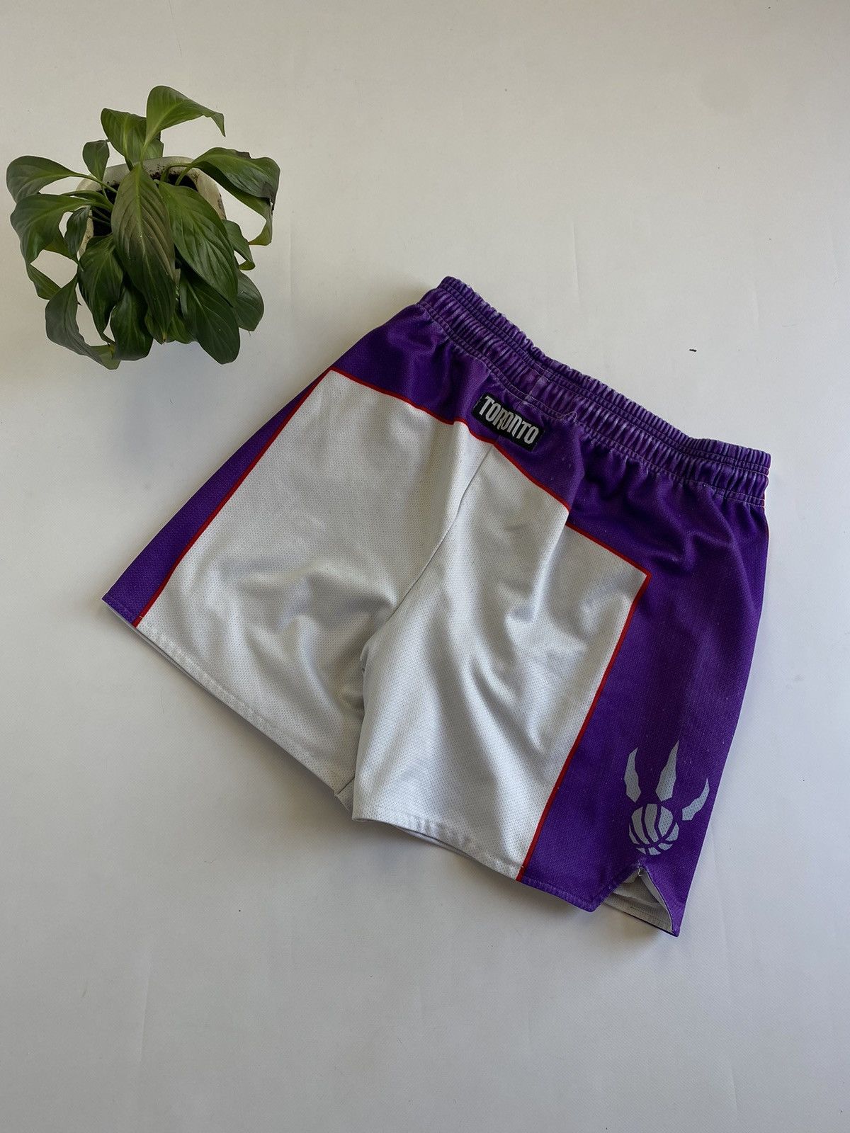 Champion VTG 90’s Toronto Raptors NBA champion shorts Size US 30 / EU 46 - 2 Thumbnail