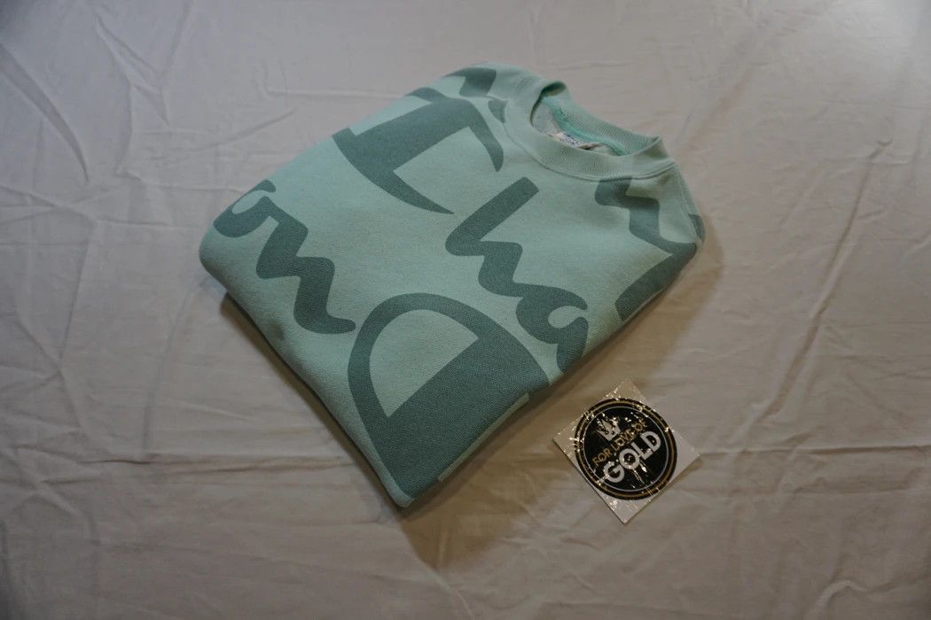 Champion reverse weave crewneck sweater teal blue big logo