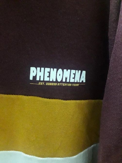PHENOMENON ATTENTION PHENOMENA SWEASHIRT HOODIE BIG BACK LOGO Size US L / EU 52-54 / 3 - 7 Thumbnail