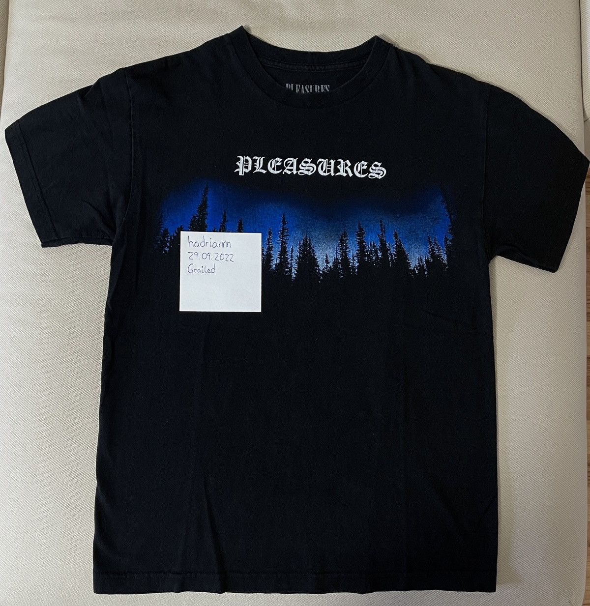 Pleasures Pleasures T-Shirt with Blue Woods/Forrest Front + Back Print Size US M / EU 48-50 / 2 - 4 Thumbnail