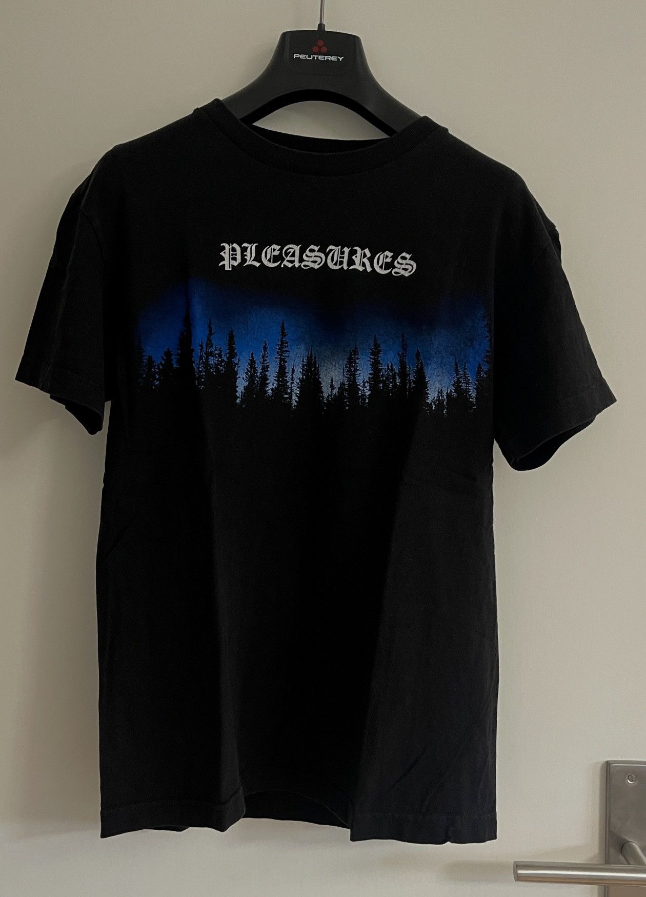 Pleasures Pleasures T-Shirt with Blue Woods/Forrest Front + Back Print Size US M / EU 48-50 / 2 - 2 Thumbnail