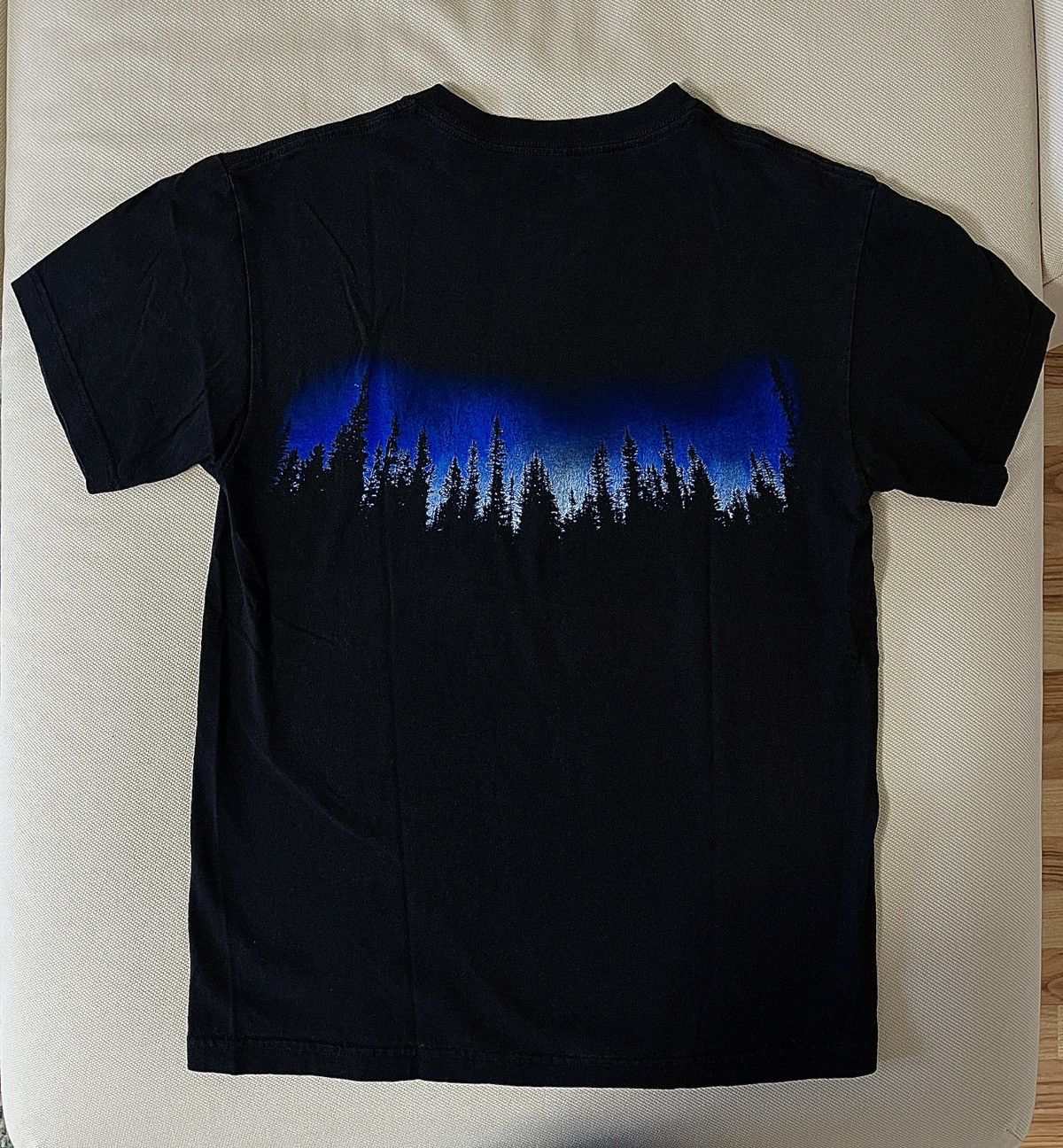 Pleasures Pleasures T-Shirt with Blue Woods/Forrest Front + Back Print Size US M / EU 48-50 / 2 - 5 Thumbnail