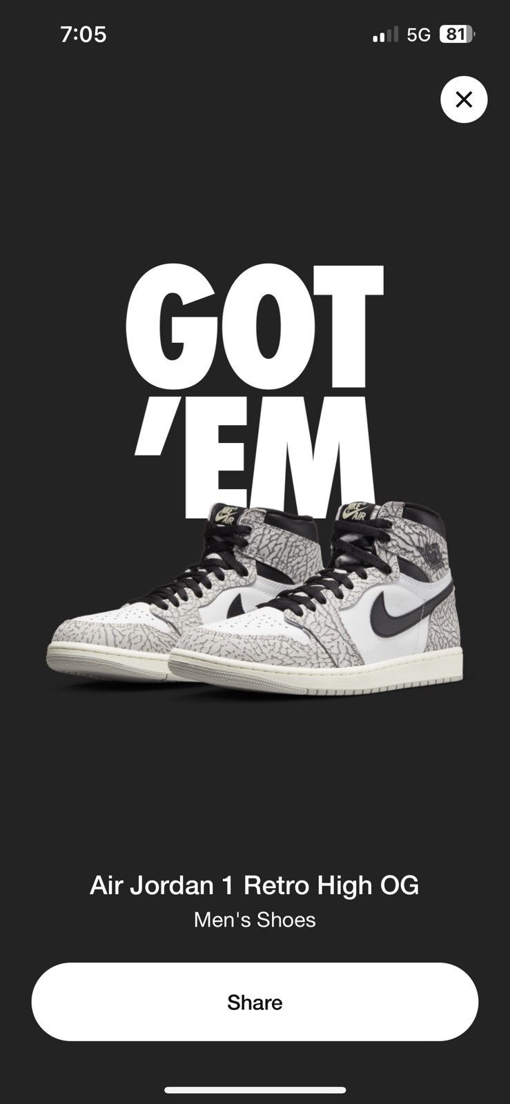 Jordan Retro High OG “Elephant Print”