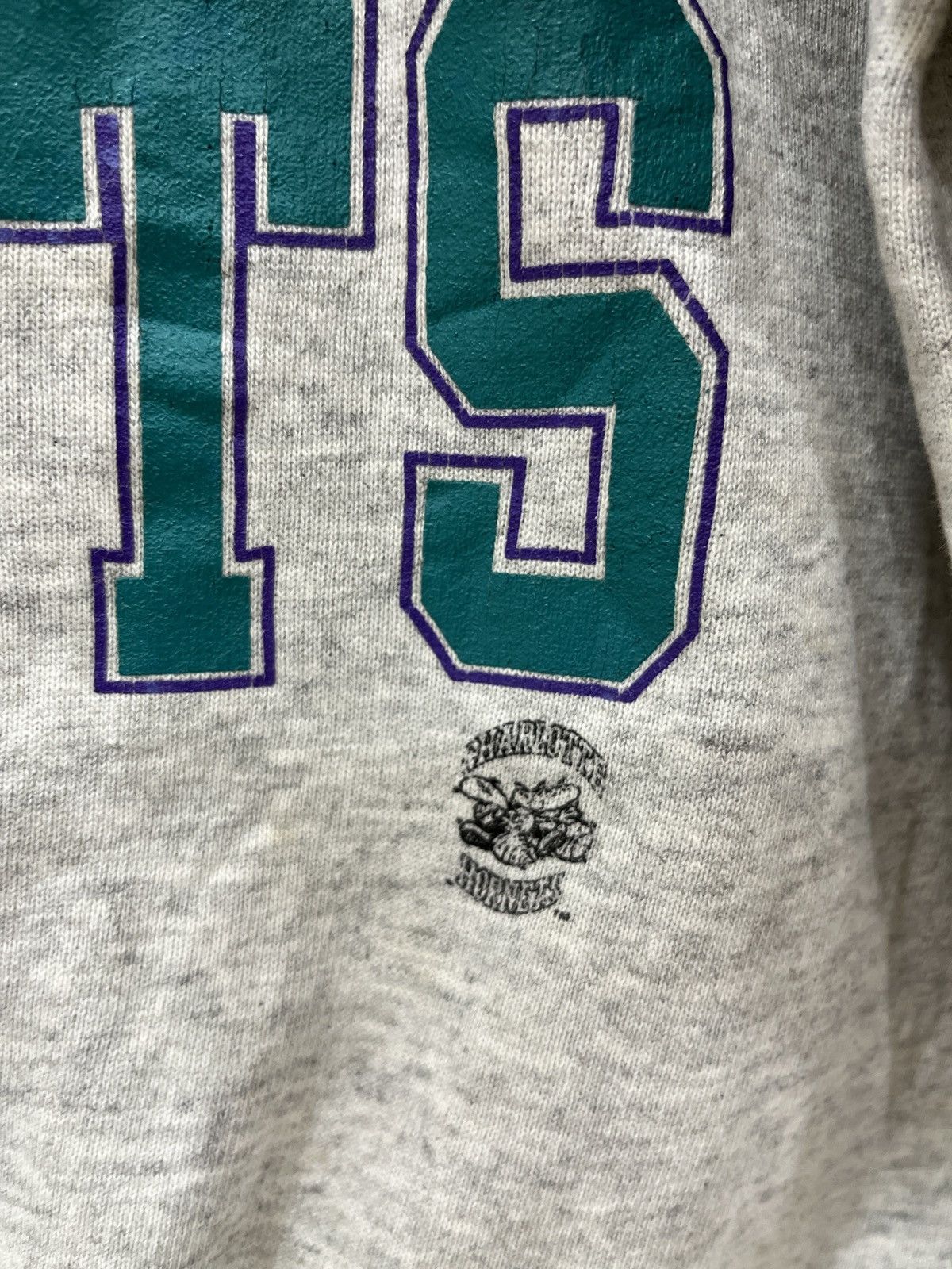 Champion (Eeee).🔥🔥🔥STEALS VINTAGE CHAMPION NBA CHARLOTTE HORNETS Size US L / EU 52-54 / 3 - 9 Thumbnail