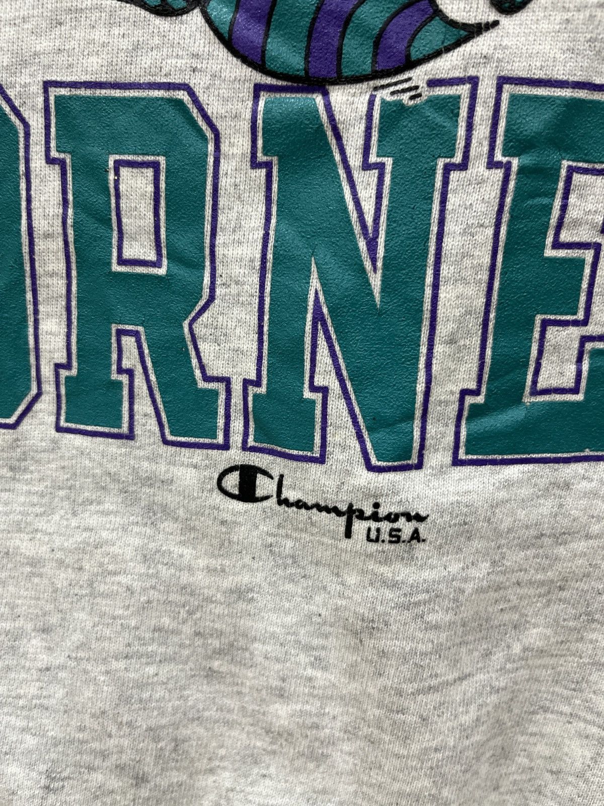 Champion (Eeee).🔥🔥🔥STEALS VINTAGE CHAMPION NBA CHARLOTTE HORNETS Size US L / EU 52-54 / 3 - 8 Thumbnail