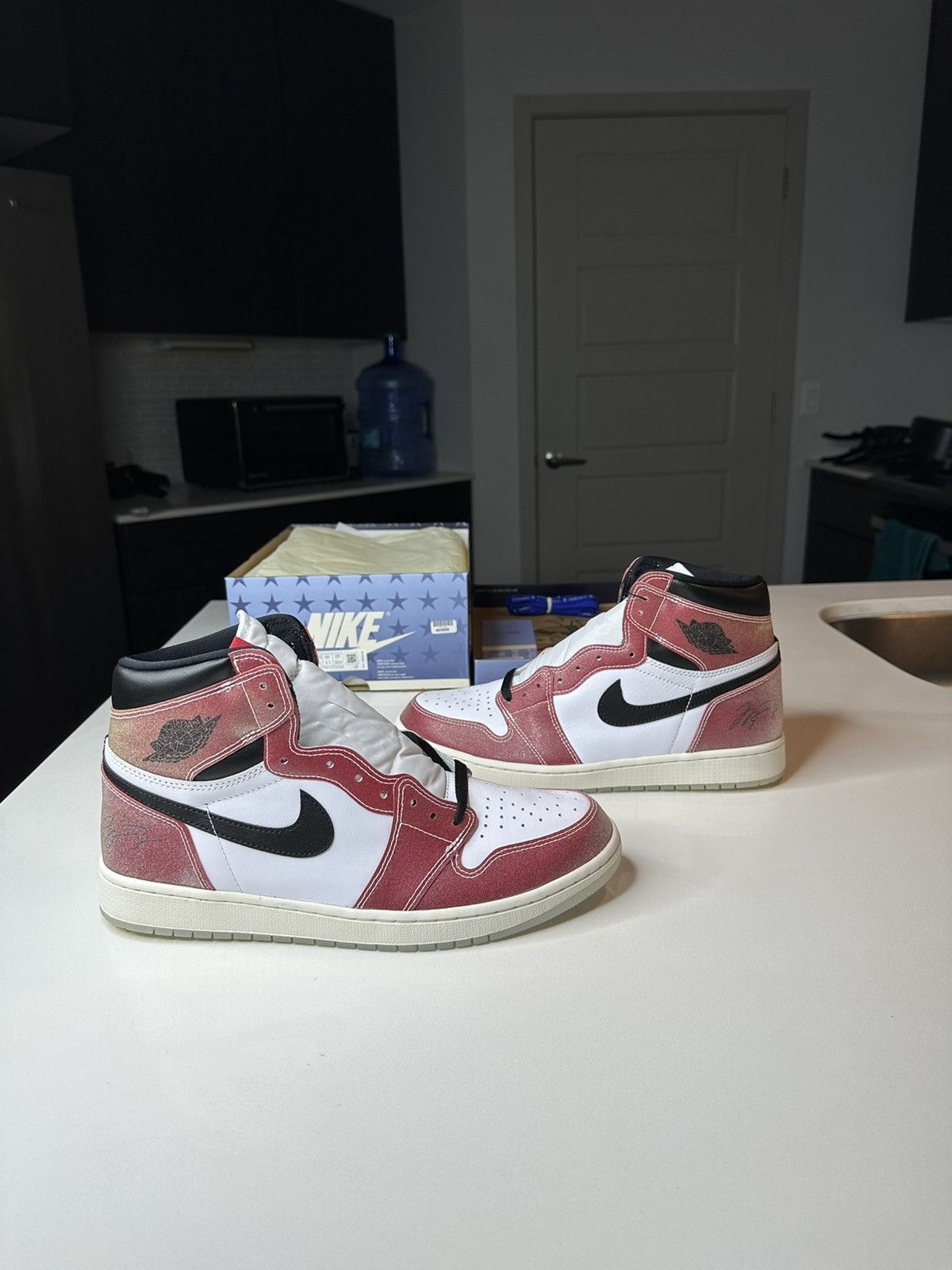 TROPHY ROOM CHICAGO JORDAN 1 F&F DEADSTOCK RARE