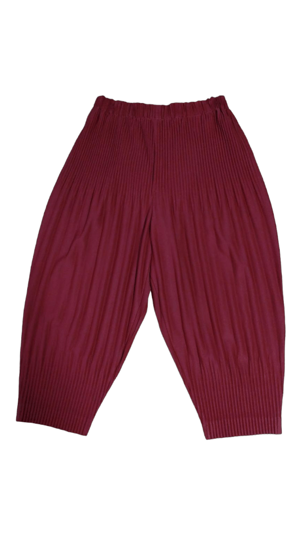 HOMME PLISSE color pants