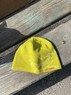 Palace Arcteryx Beanie | Grailed