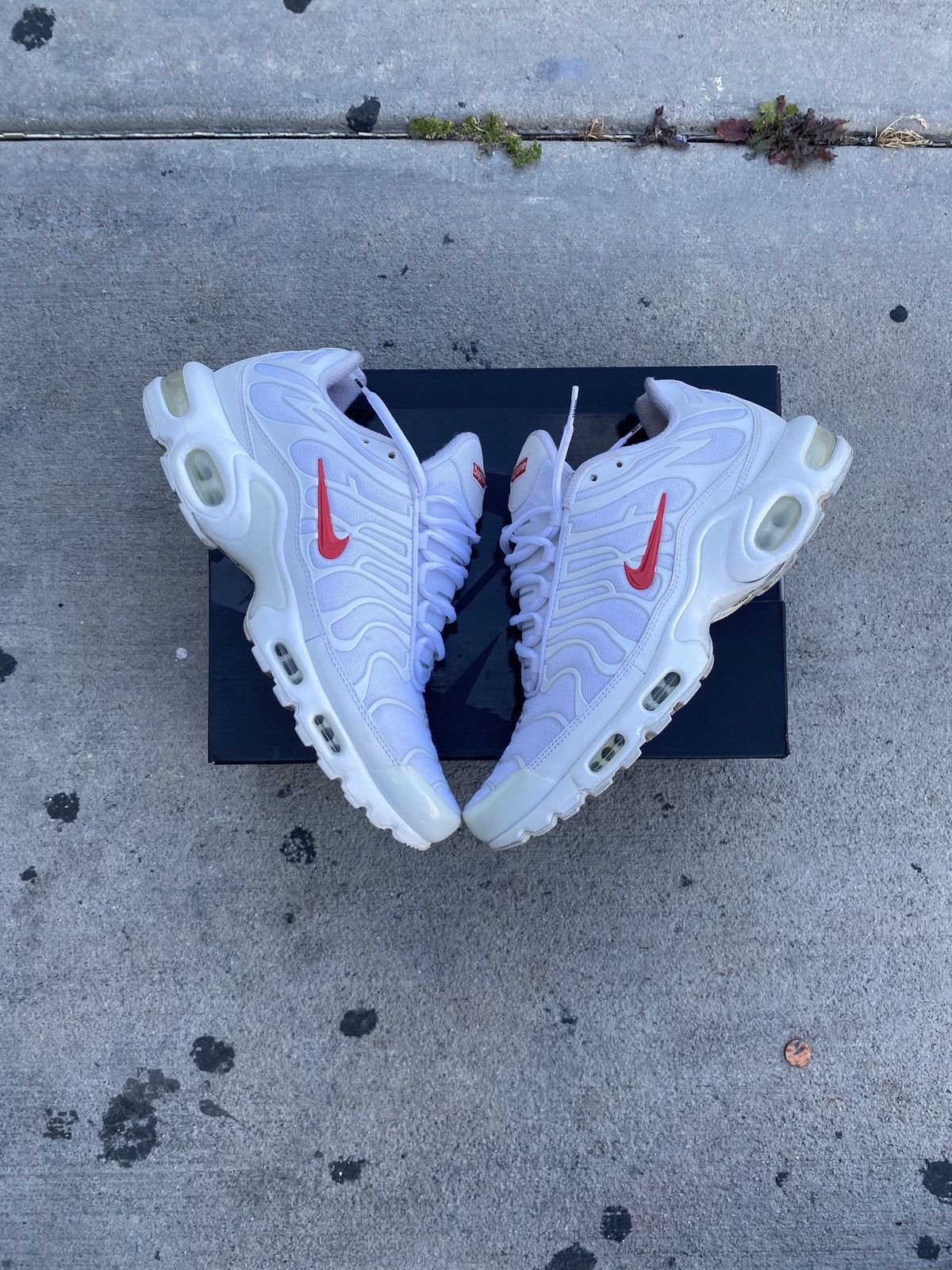 supreme airmax plus