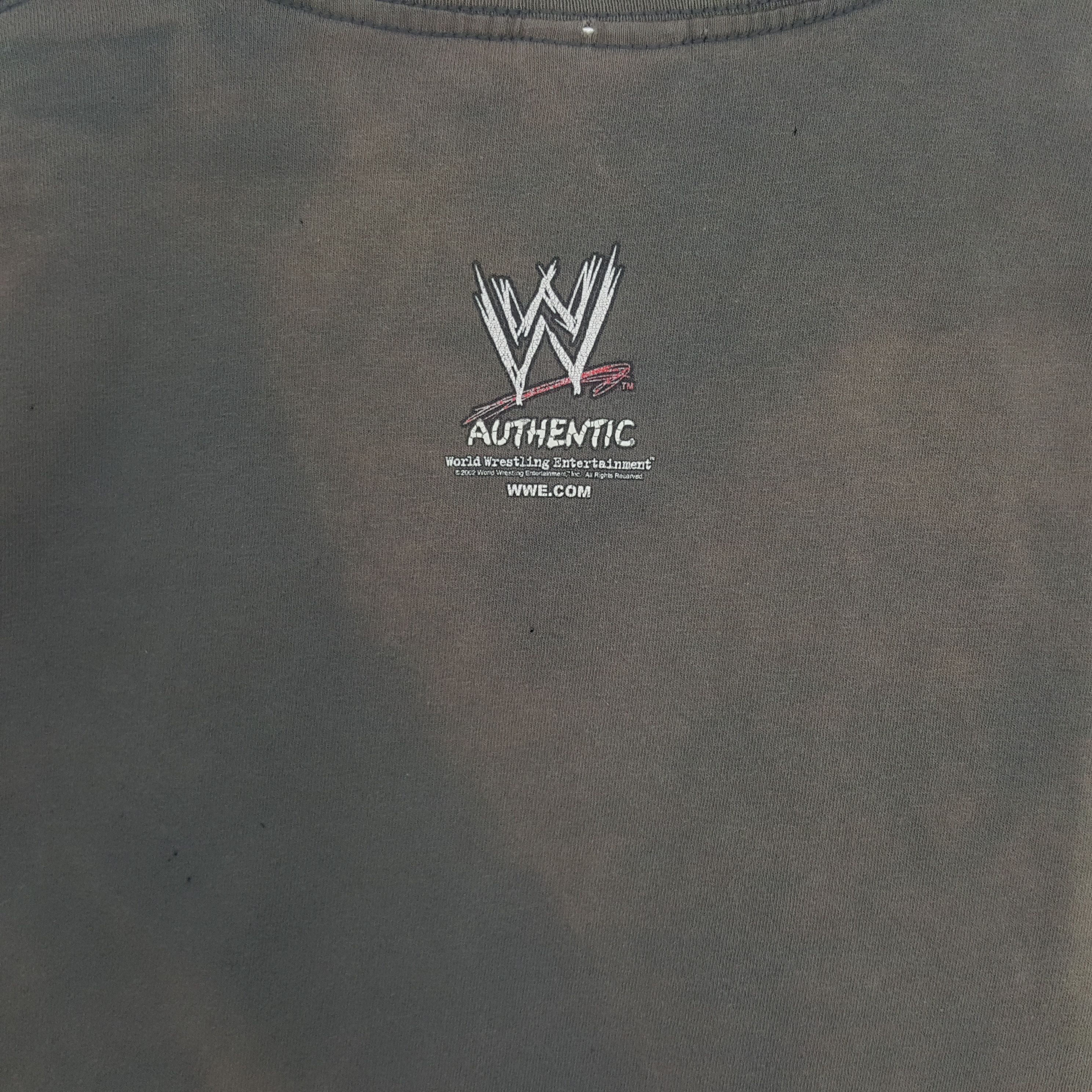 Alstyle Vintage WWE Rob Van Dam Wrestling Entertainment Tshirt Size US L / EU 52-54 / 3 - 5 Thumbnail