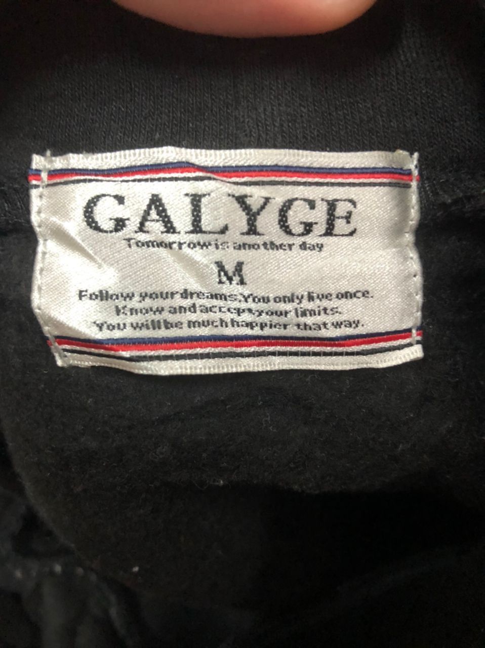 Japanese Brand Vtg Galyge Embroidery Spell Out Big Logo Hoodie Sweatshirt Size US XXL / EU 58 / 5 - 10 Thumbnail