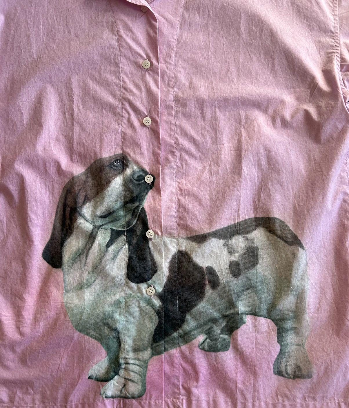 Acne Studios Acne Studios Dachshund Dog Shirt Size US L / EU 52-54 / 3 - 3 Thumbnail
