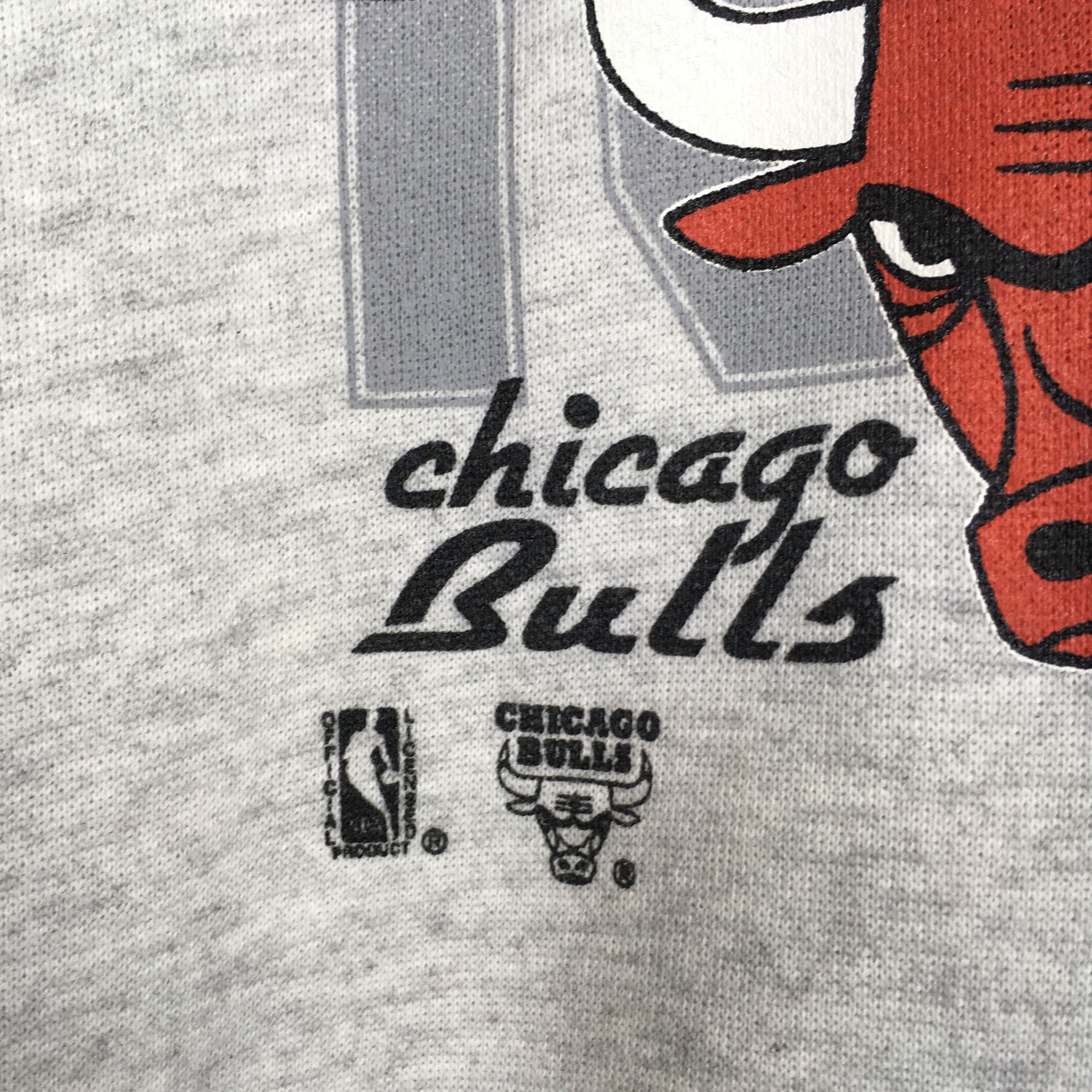 Hanes × NBA × Vintage Vintage Chicago Bulls Nba Hoodie Sweatshirt Large Size US L / EU 52-54 / 3 - 5 Thumbnail