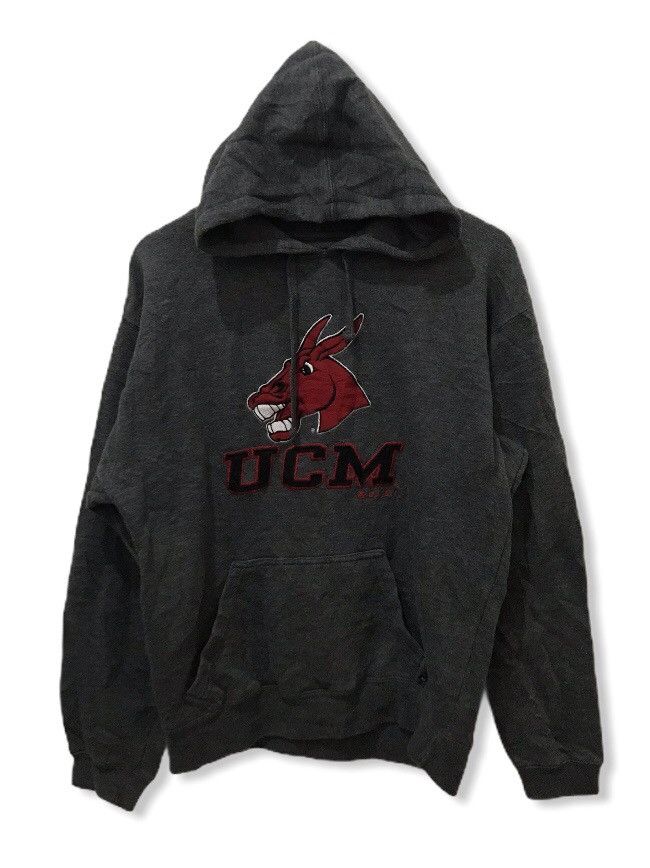 J. America × Vintage J America sportwear hoodie Size US M / EU 48-50 / 2 - 1 Thumbnail