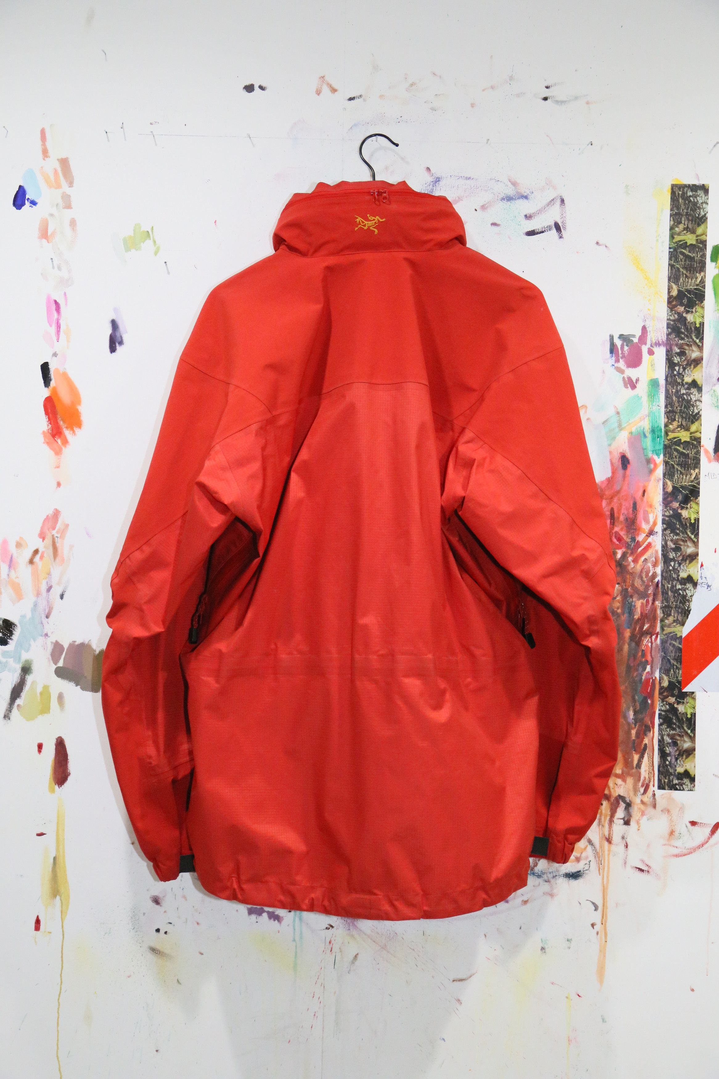 Arc'teryx 2000 Theta LT Size US L / EU 52-54 / 3 - 4 Thumbnail