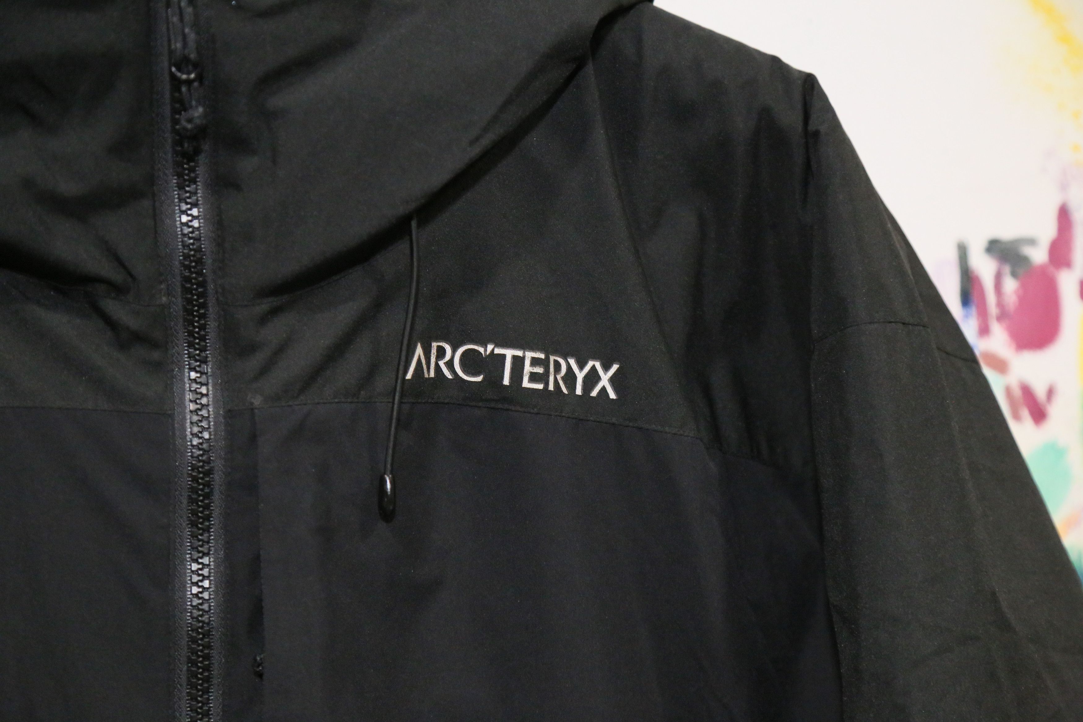 Arc'teryx 2005 Fission LT Hoody Size US L / EU 52-54 / 3 - 7 Thumbnail