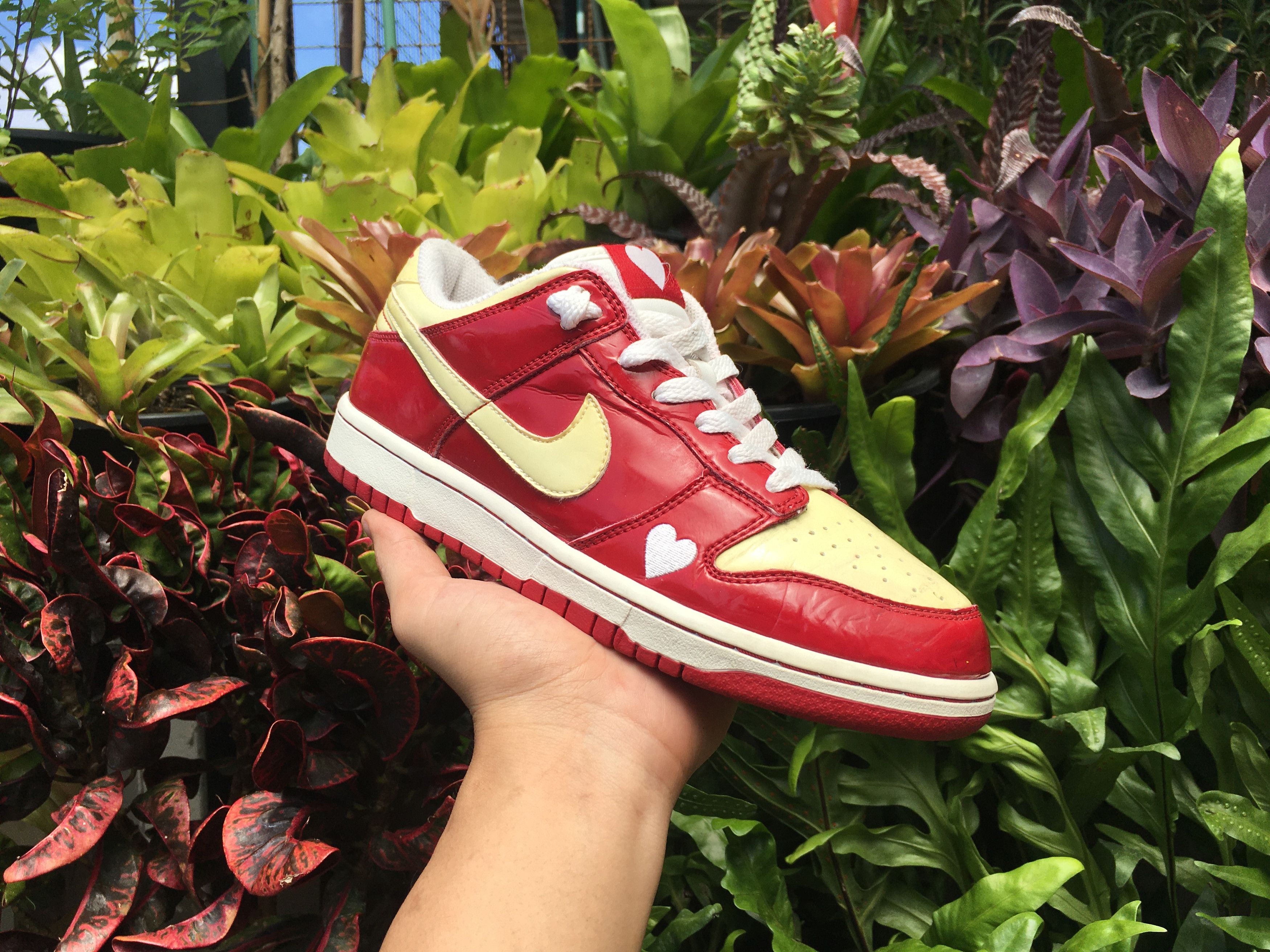 2004 valentines day dunks