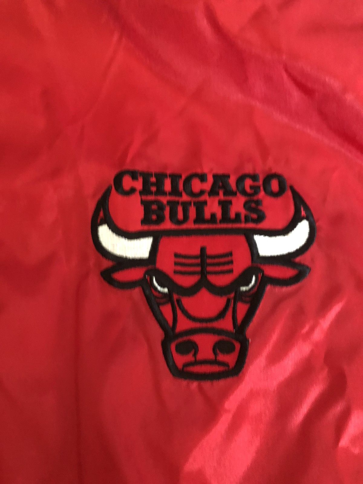 Pro Player × Vintage Pro Player Vintage Chicago Bulls Light Jacket Size US XL / EU 56 / 4 - 2 Thumbnail