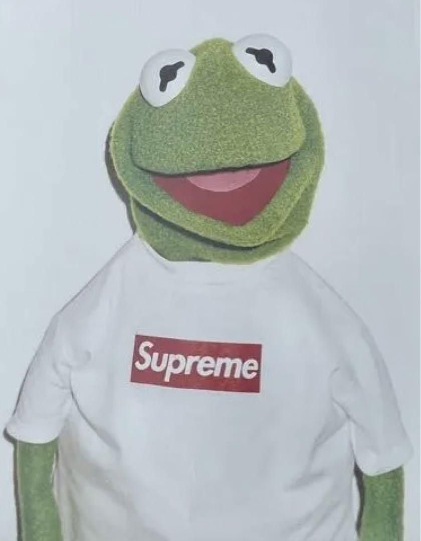 Supreme Supreme Spring Summer 2008 Kermit Poster by Terry Richardson Size ONE SIZE - 3 Thumbnail