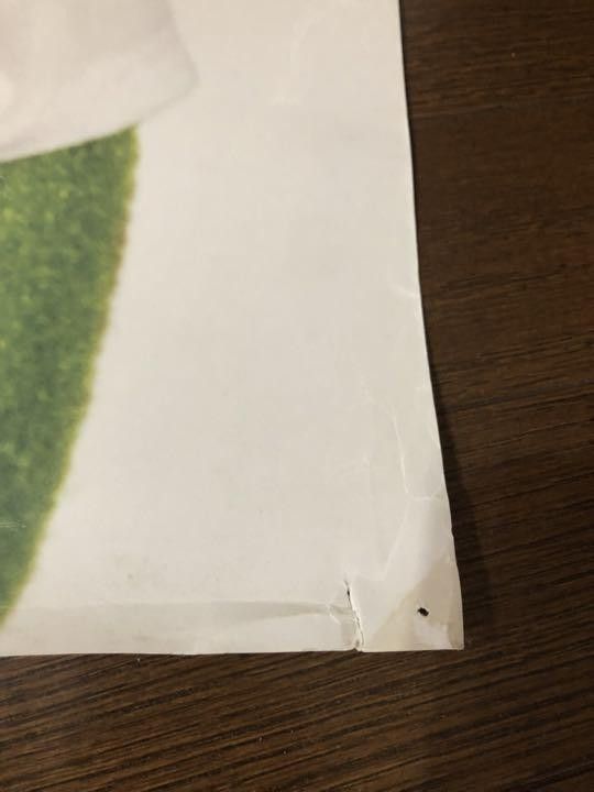 Supreme Supreme Spring Summer 2008 Kermit Poster by Terry Richardson Size ONE SIZE - 12 Thumbnail