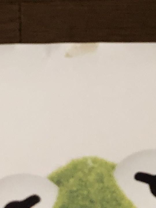 Supreme Supreme Spring Summer 2008 Kermit Poster by Terry Richardson Size ONE SIZE - 9 Thumbnail