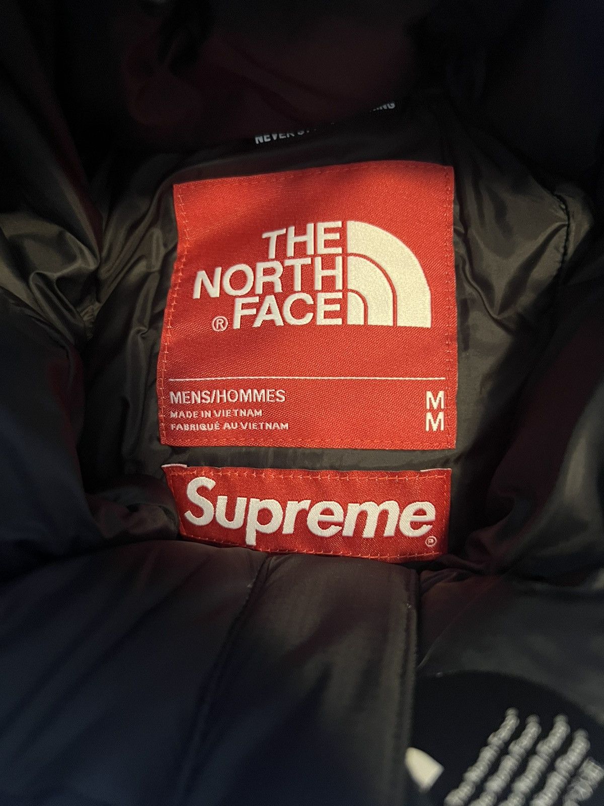 Supreme × The North Face Supreme The North Face S Logo Summit Series Himalayan Parka Size US M / EU 48-50 / 2 - 10 Thumbnail