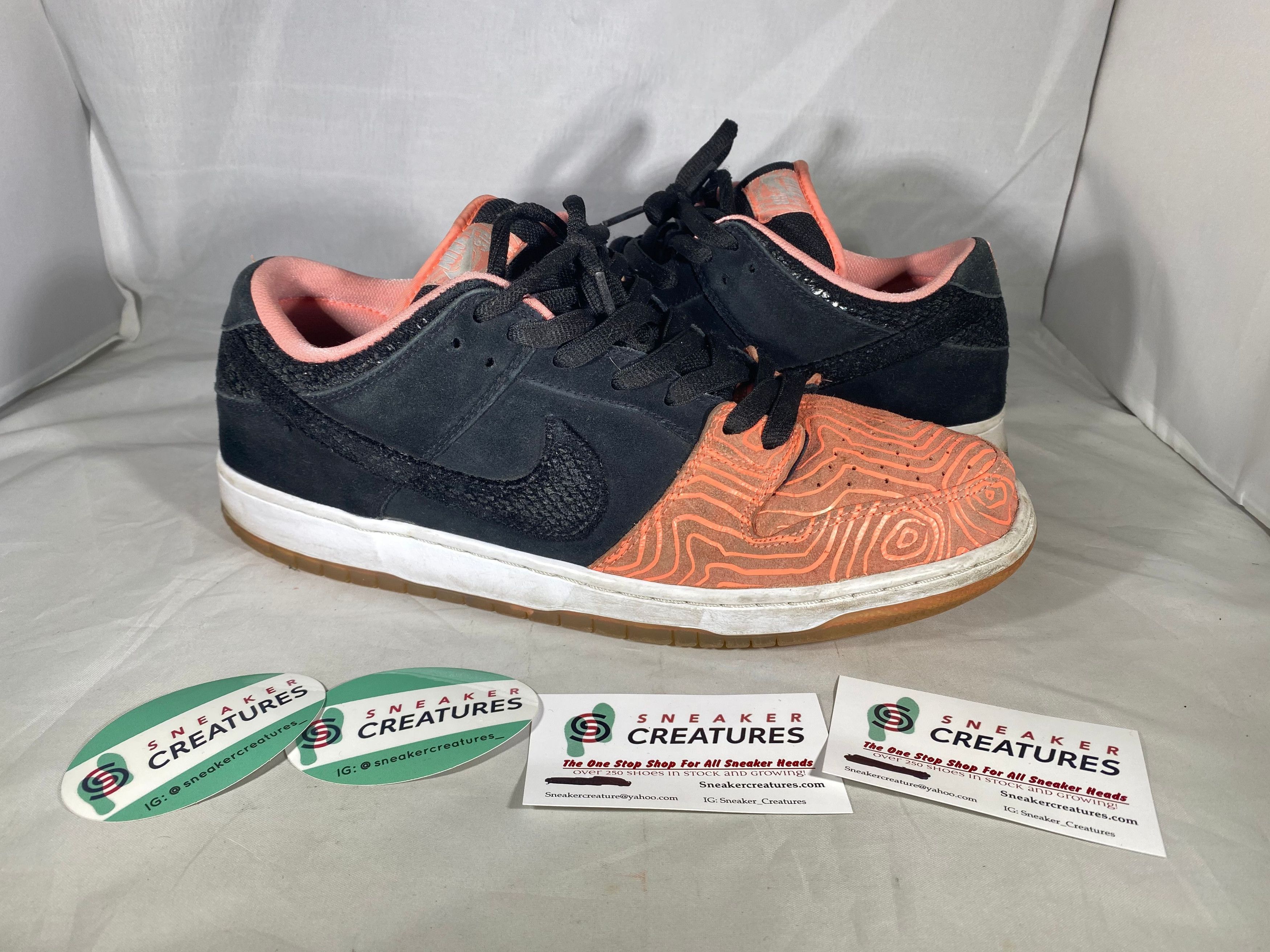 Men’s Nike SB Dunk Low X Premiere “Fish Ladder” gently worn. No box. No extras Nike Nike SB Low x Premier Fish Ladder 2015 No Original Box  main image 2