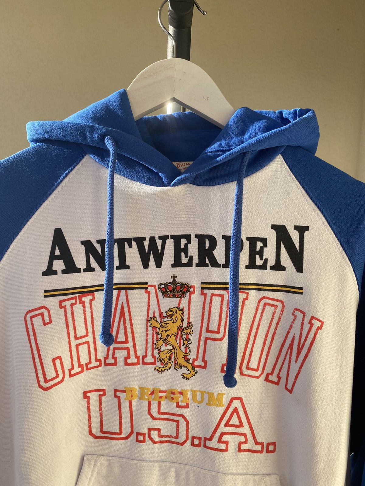 Vetements Vetements x champion Size US M / EU 48-50 / 2 - 2 Thumbnail