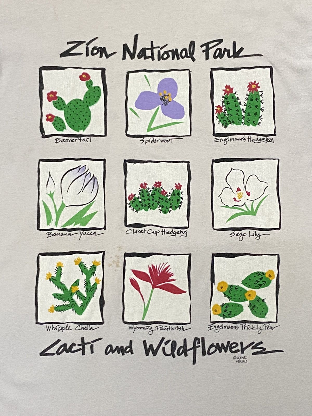 Vintage Vintage 90s Cacti And Wildflower Art Tshirt Size US M / EU 48-50 / 2 - 5 Thumbnail