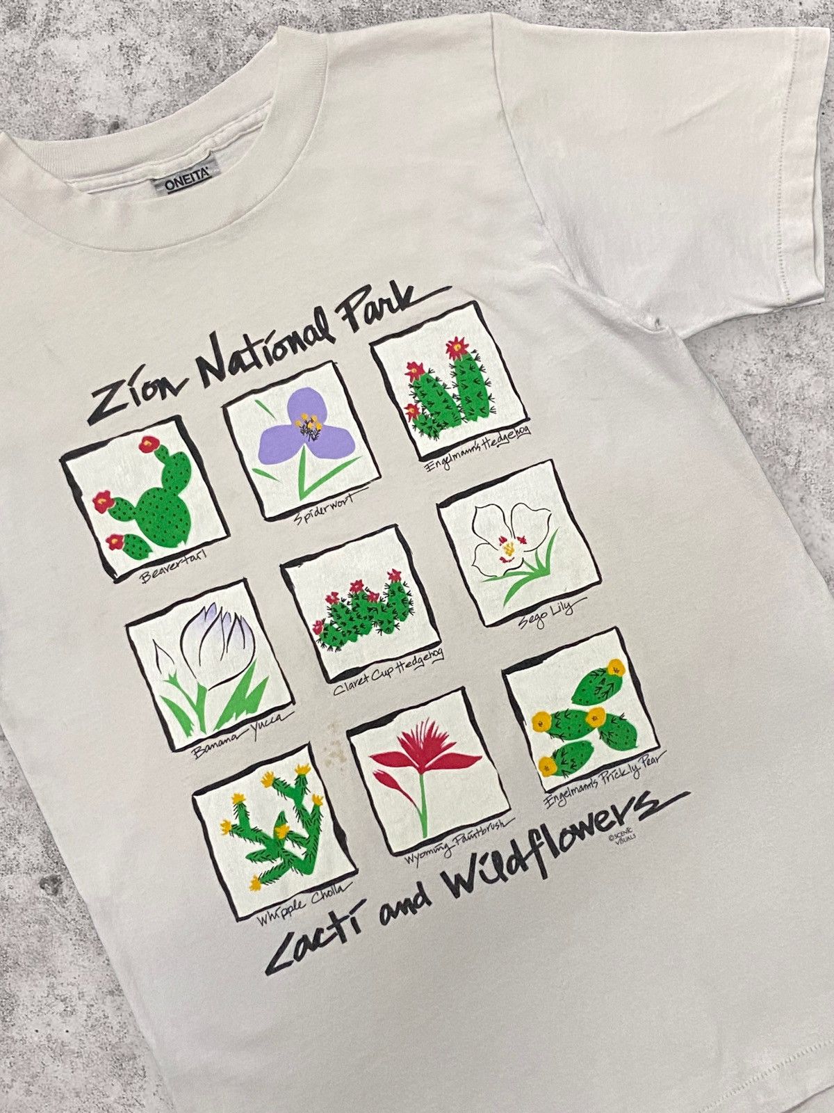 Vintage Vintage 90s Cacti And Wildflower Art Tshirt Size US M / EU 48-50 / 2 - 3 Thumbnail