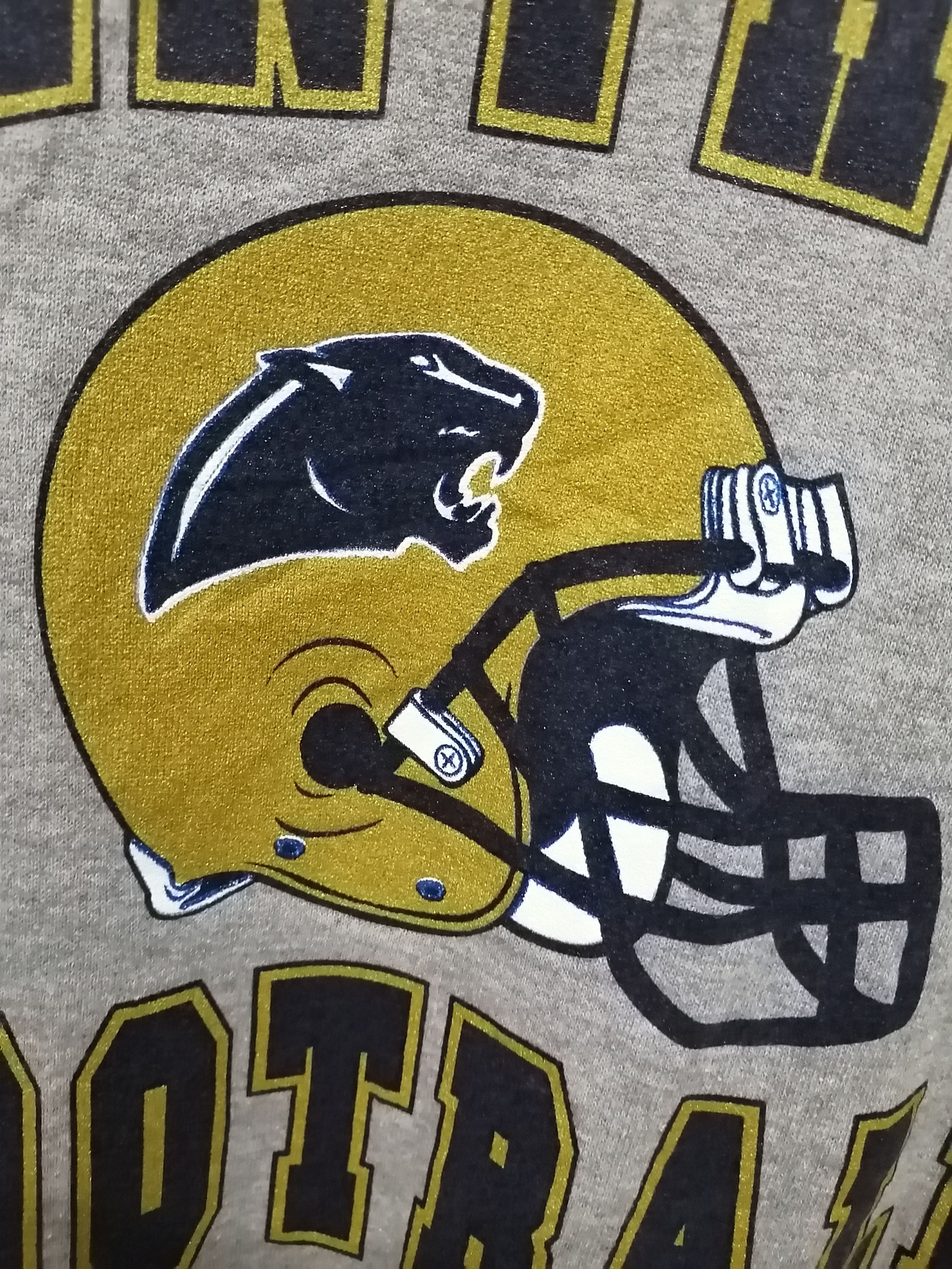 NFL Vintage NFL PANTHER FOOTBALL Hoodie Size US M / EU 48-50 / 2 - 4 Thumbnail