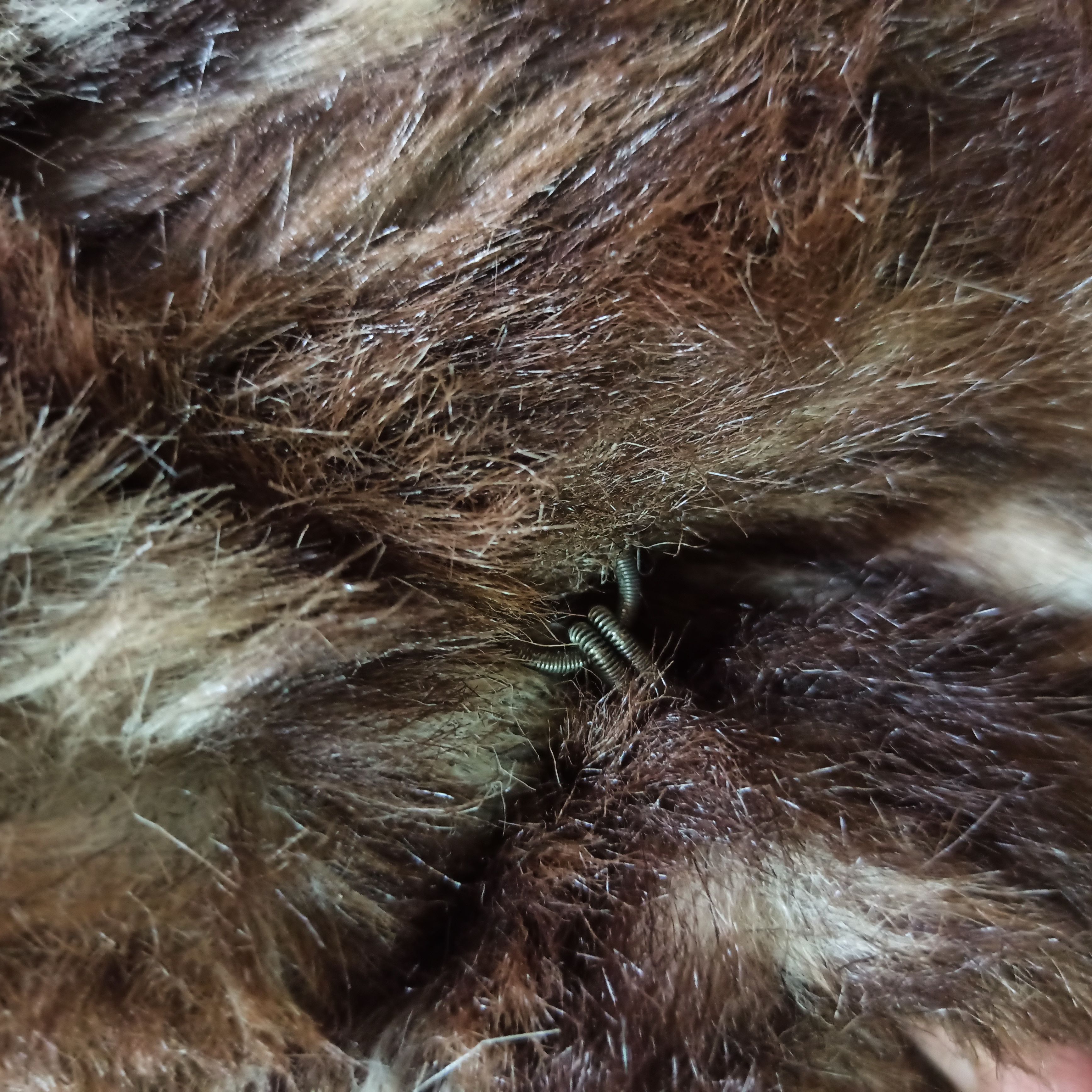 Japanese Brand 🔥RARE🔥 VINTAGE ELISA FUR JACKET NICE DESIGN TIGER JAPANESE Size US M / EU 48-50 / 2 - 12 Thumbnail