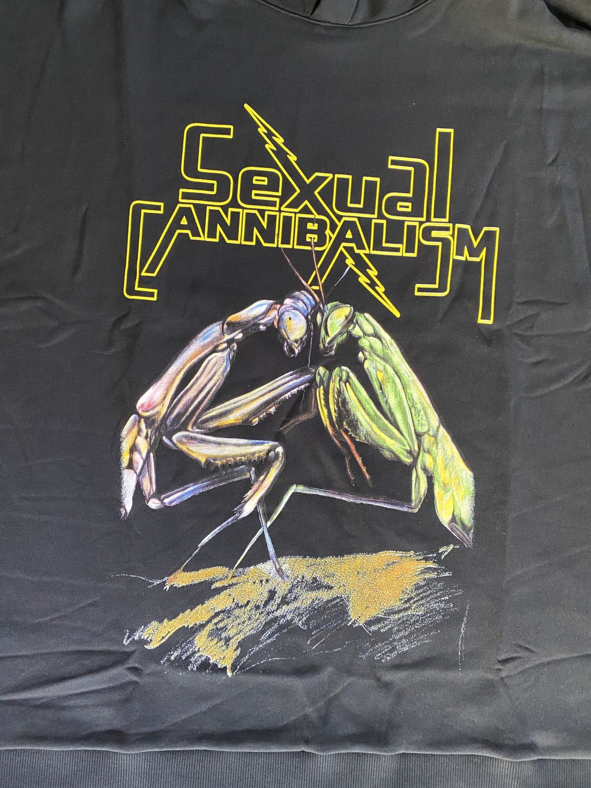 Christopher Kane NWT Christopher Kane Sexual Cannibalism Hoodie Cloak S19 Size US L / EU 52-54 / 3 - 2 Thumbnail