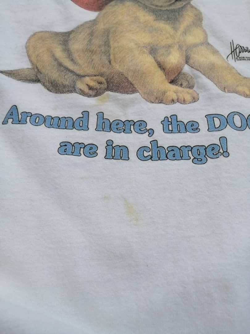 All Sport × Vintage Vintage All Sport Bob Harrison Dog Tee Size US L / EU 52-54 / 3 - 5 Thumbnail