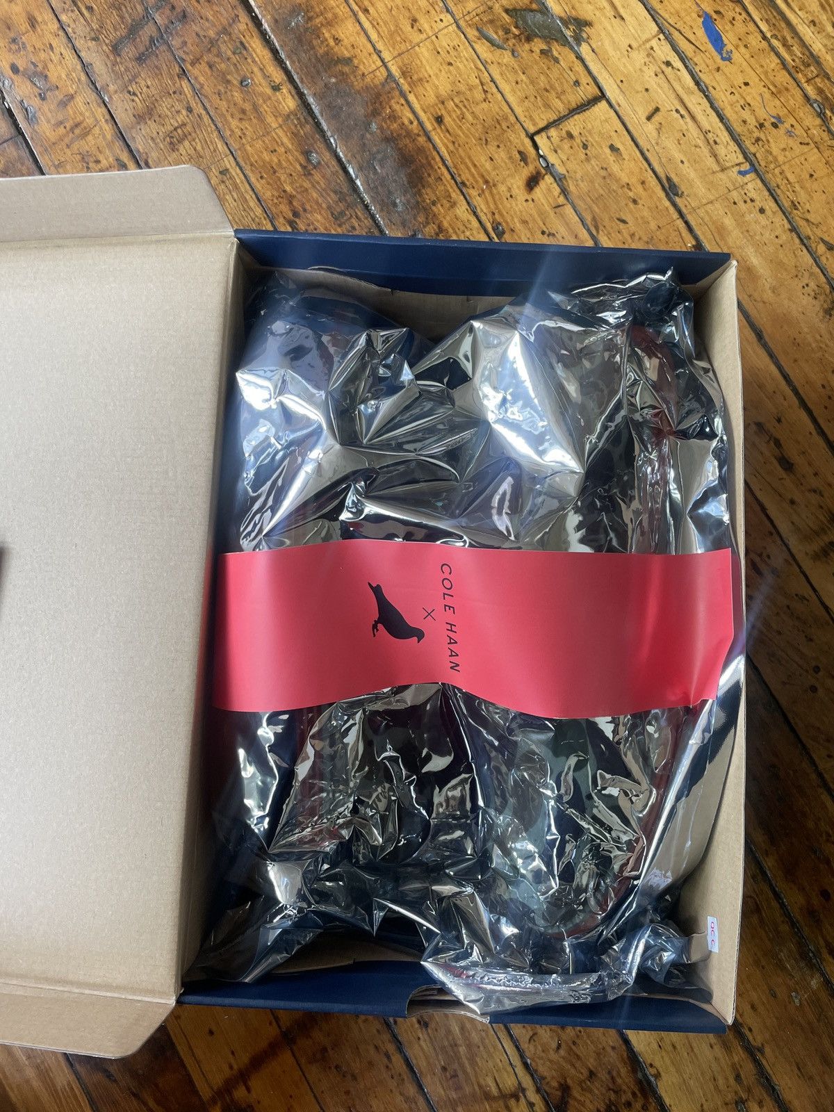 Jeff Staple x Cole Haan
