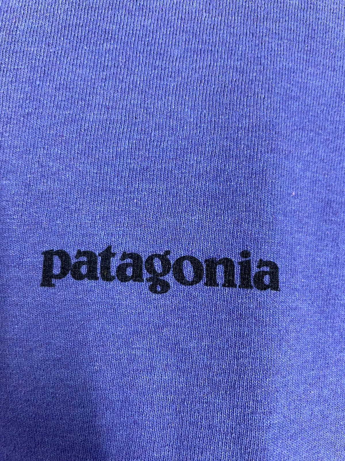 Patagonia Patagonia big logo t shirt Size US M / EU 48-50 / 2 - 4 Thumbnail